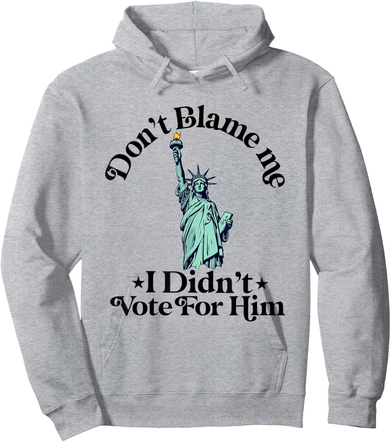 Dont Blame Me I Didn't Vote Democrat Politics Hoodie - Hoodie | Ash