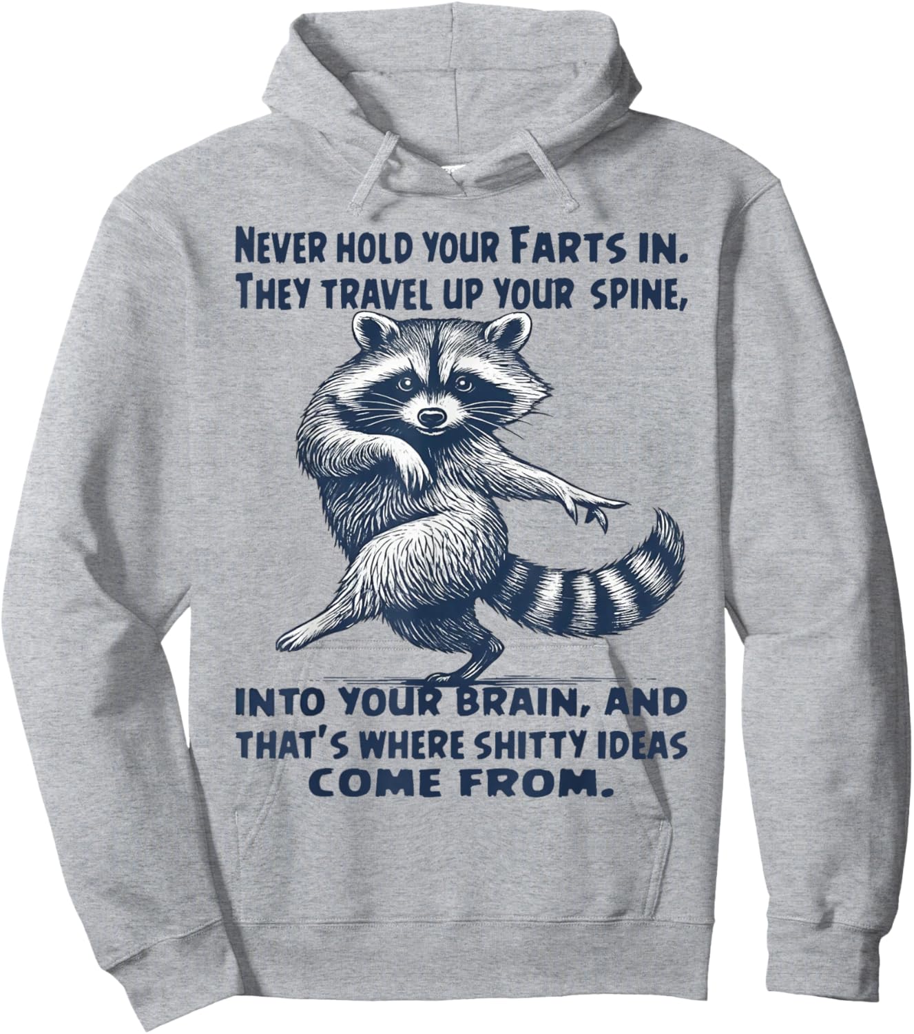 Raccoon Never Hold Your Farts in They Travel Up Your Spine Hoodie - Hoodie | Ash