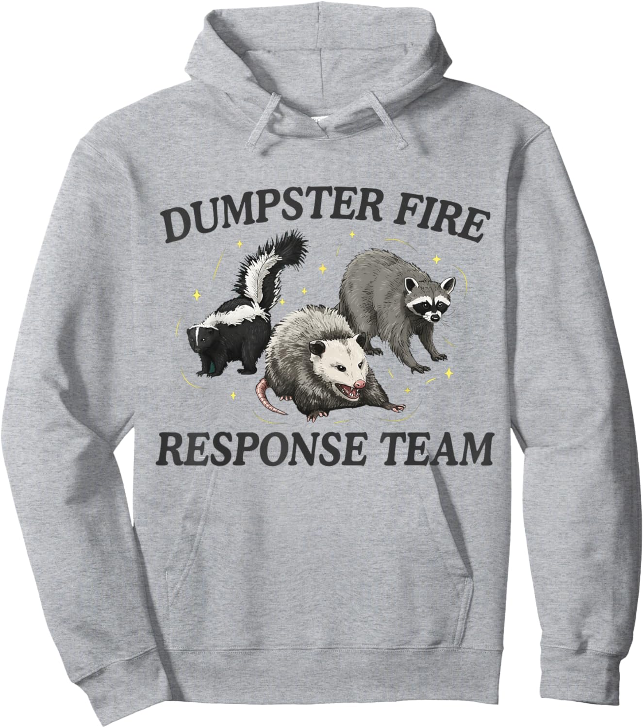 Dumpster Fire Response Team Raccoon Opossum Funny Meme Chaos Hoodie - Hoodie | Ash