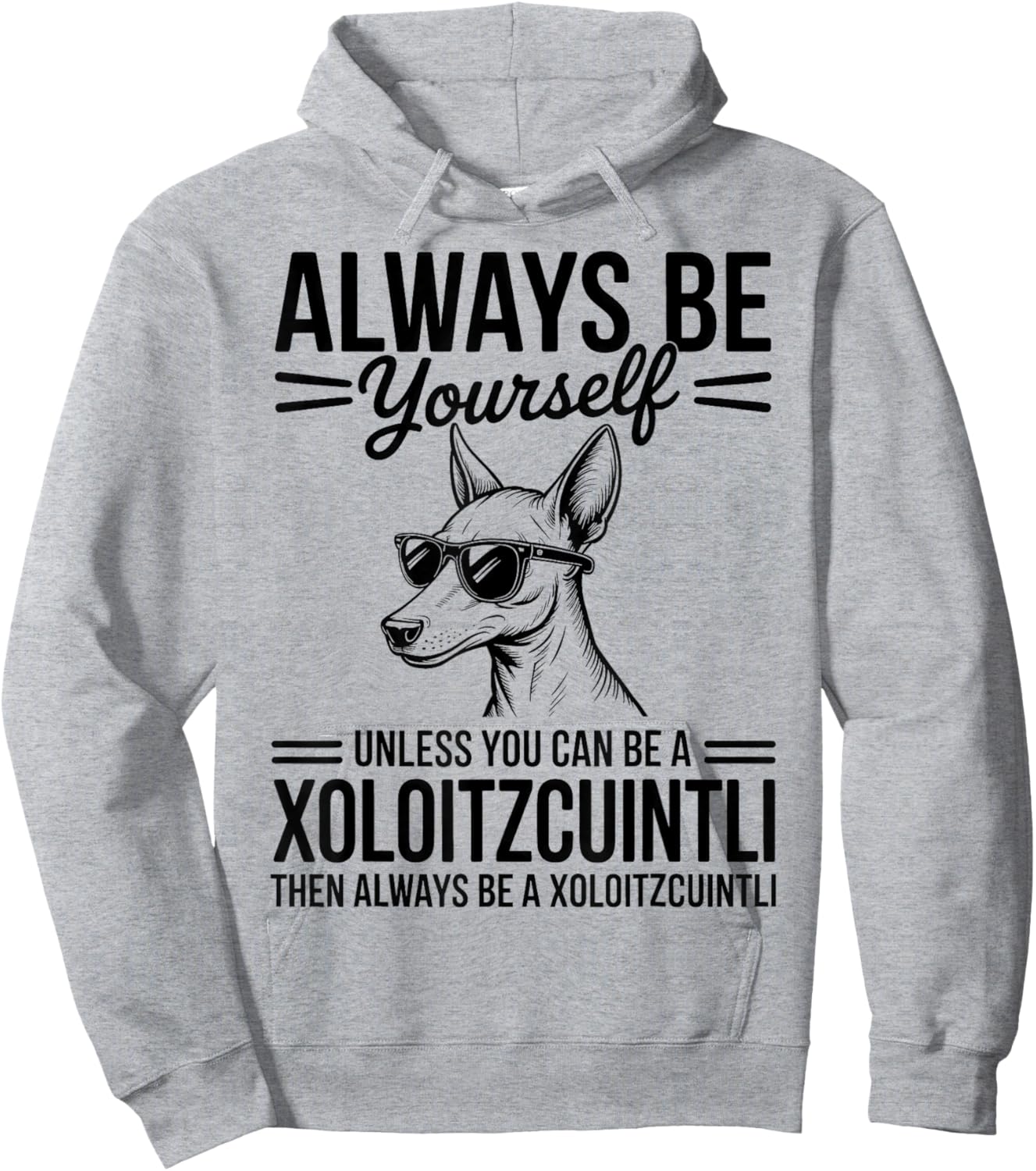 Be A Xoloitzcuintli Dog Funny Xoloitzcuintli Hoodie - Hoodie | Ash
