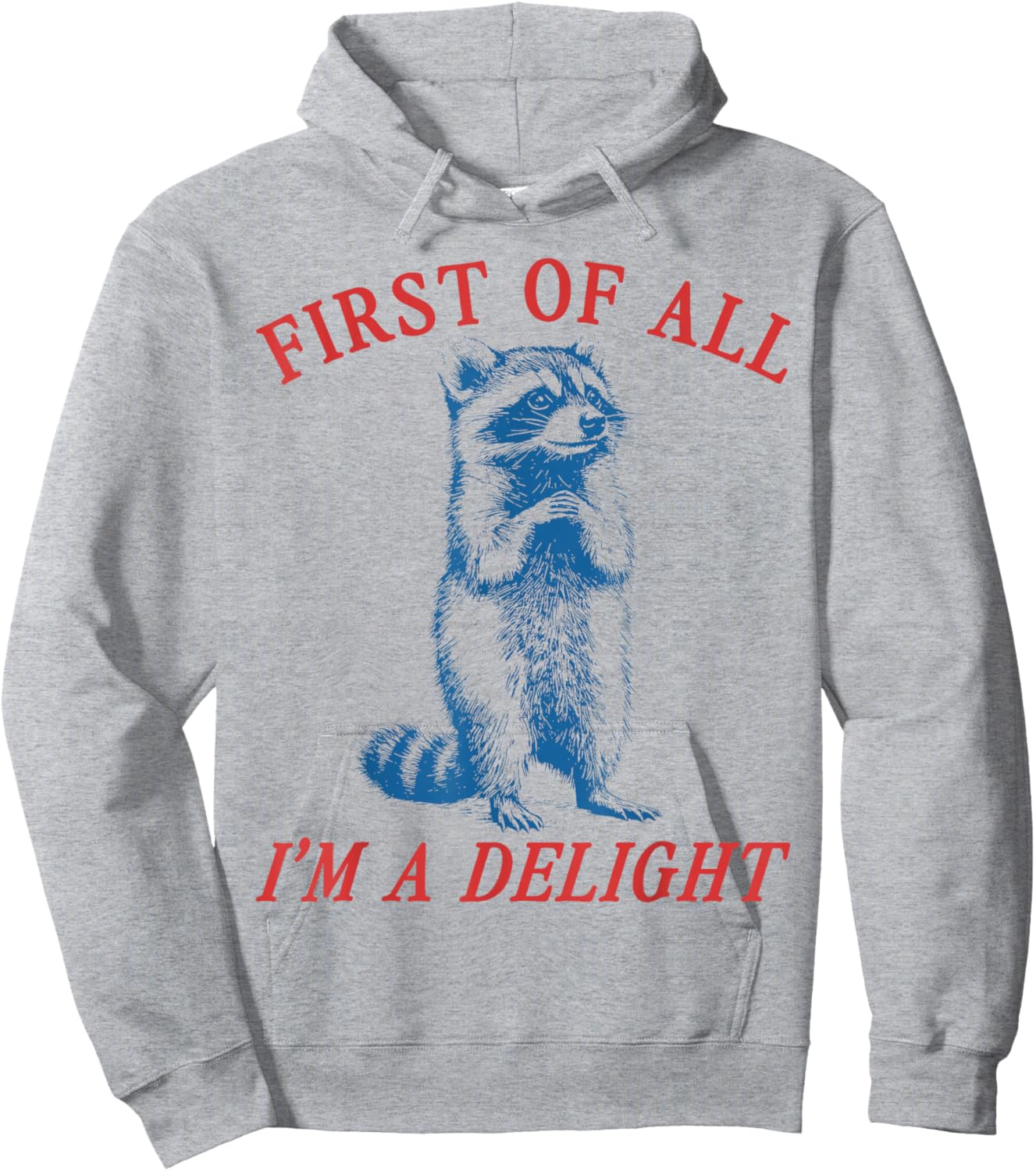First of All I'm A Delight Vintgae Saying Sarcastic Raccoon Hoodie - Hoodie | Ash