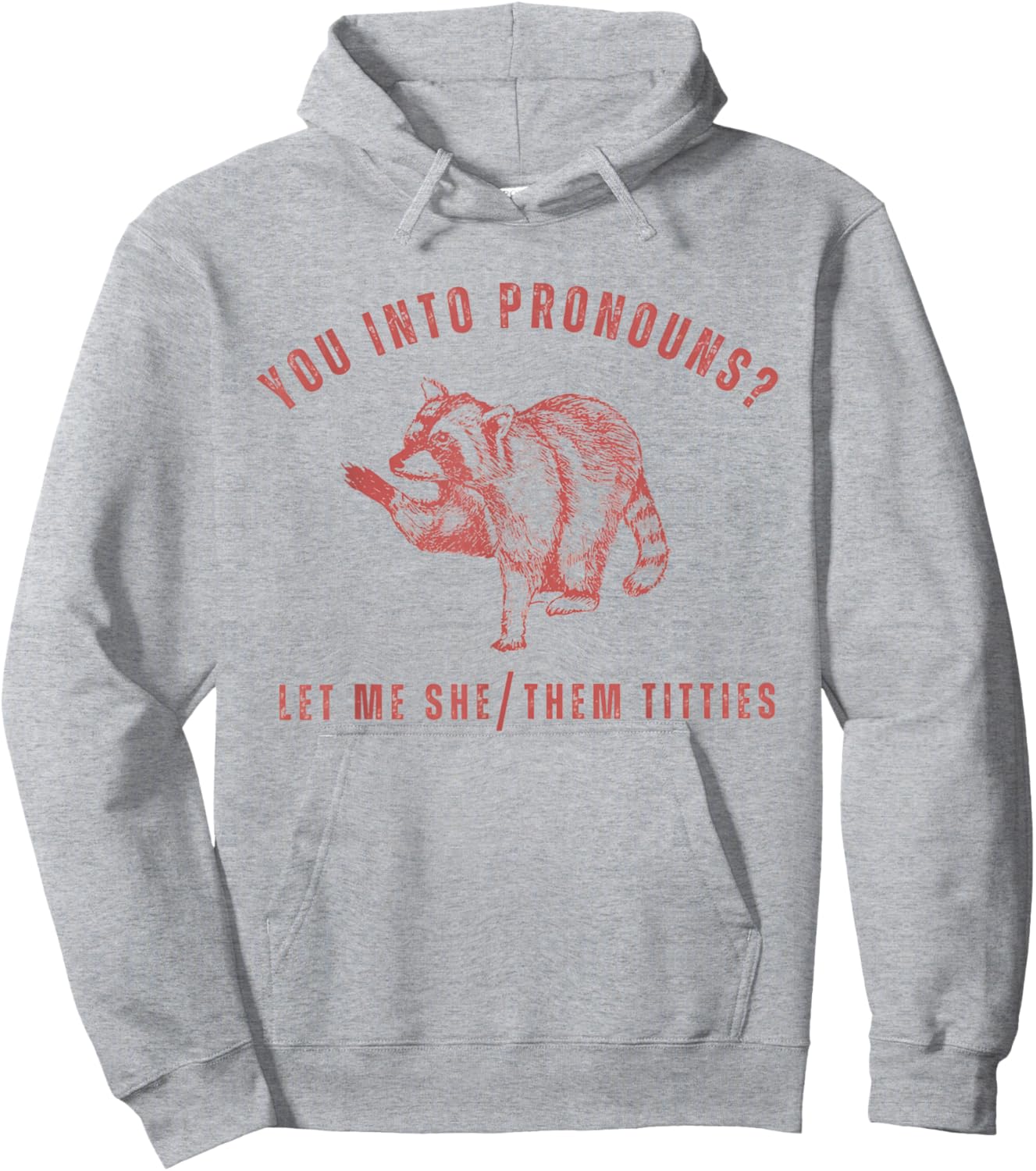 Retro Racoon You Into Pronouns Let Me She Them Titties Hoodie - Hoodie | Ash
