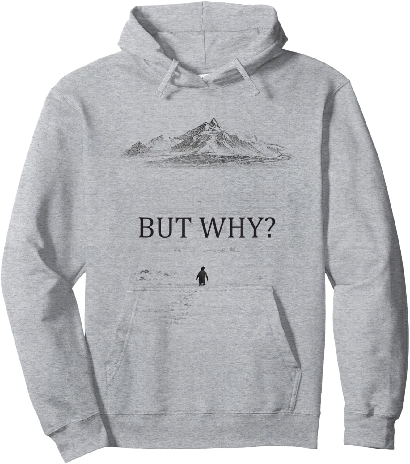 Penguin But Why Berg Warum Hoodie - Hoodie | Ash
