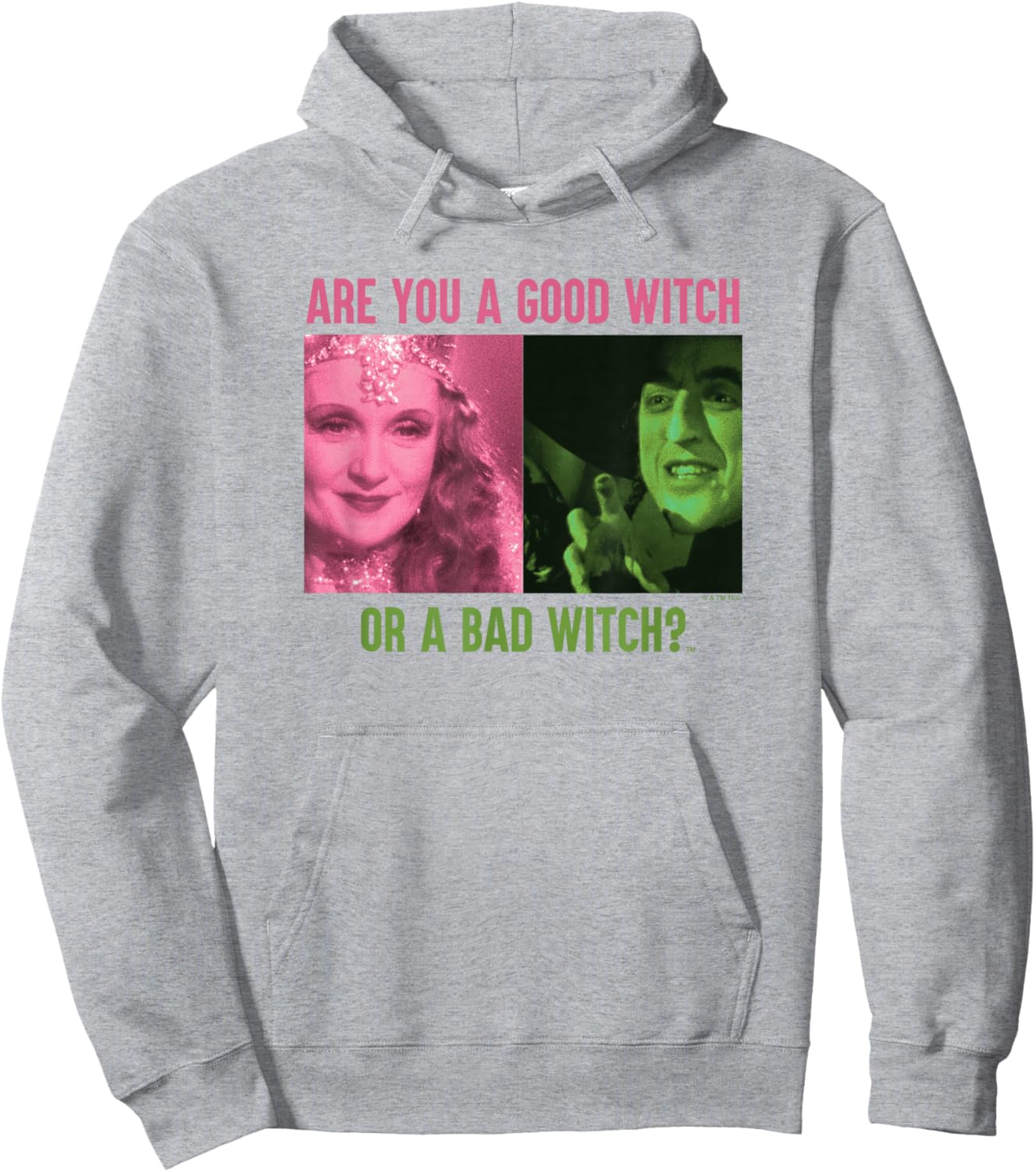 The Wizard of Oz Good Witch or Bad Witch Hoodie - Hoodie | Ash