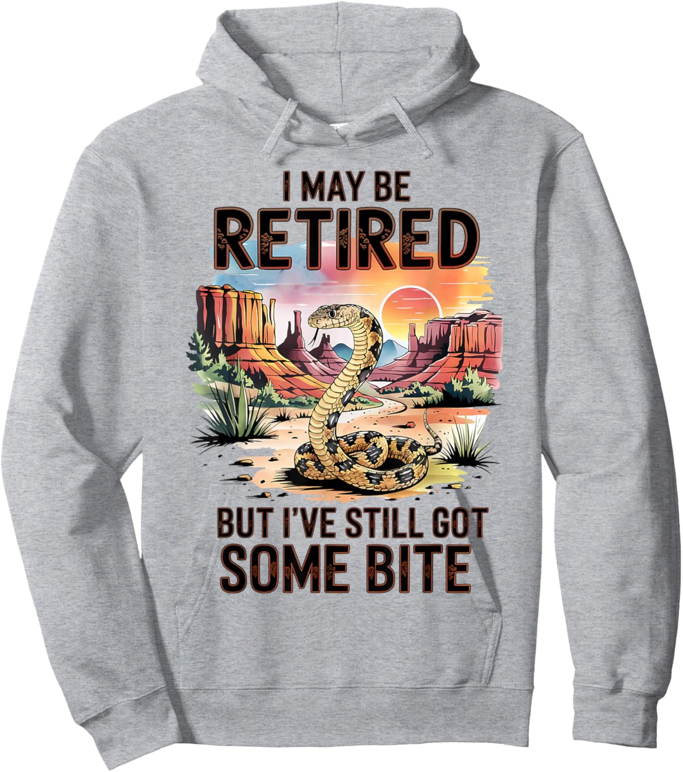 I May Be Retired Still Got Some Bite Rattlesnake Hoodie - Hoodie | Ash
