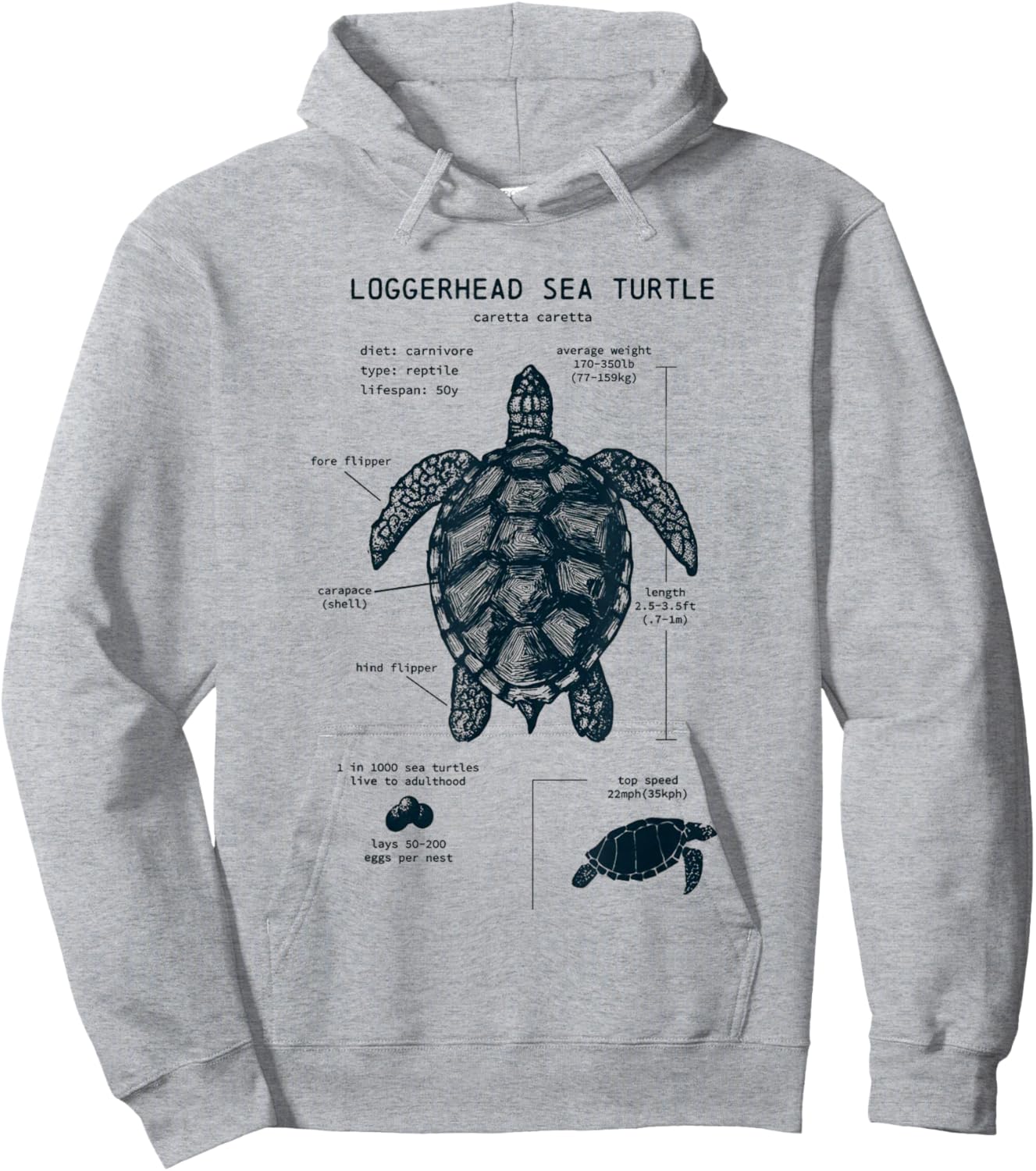Youth Sea Turtle Anatomy Hoodie - Hoodie | Ash