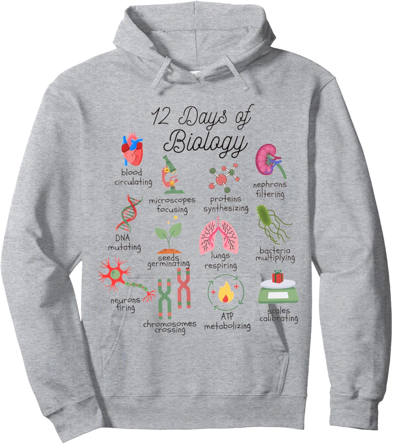 12 Days Of Biology Science Christmas Science Teacher Student Hoodie - Hoodie | Ash
