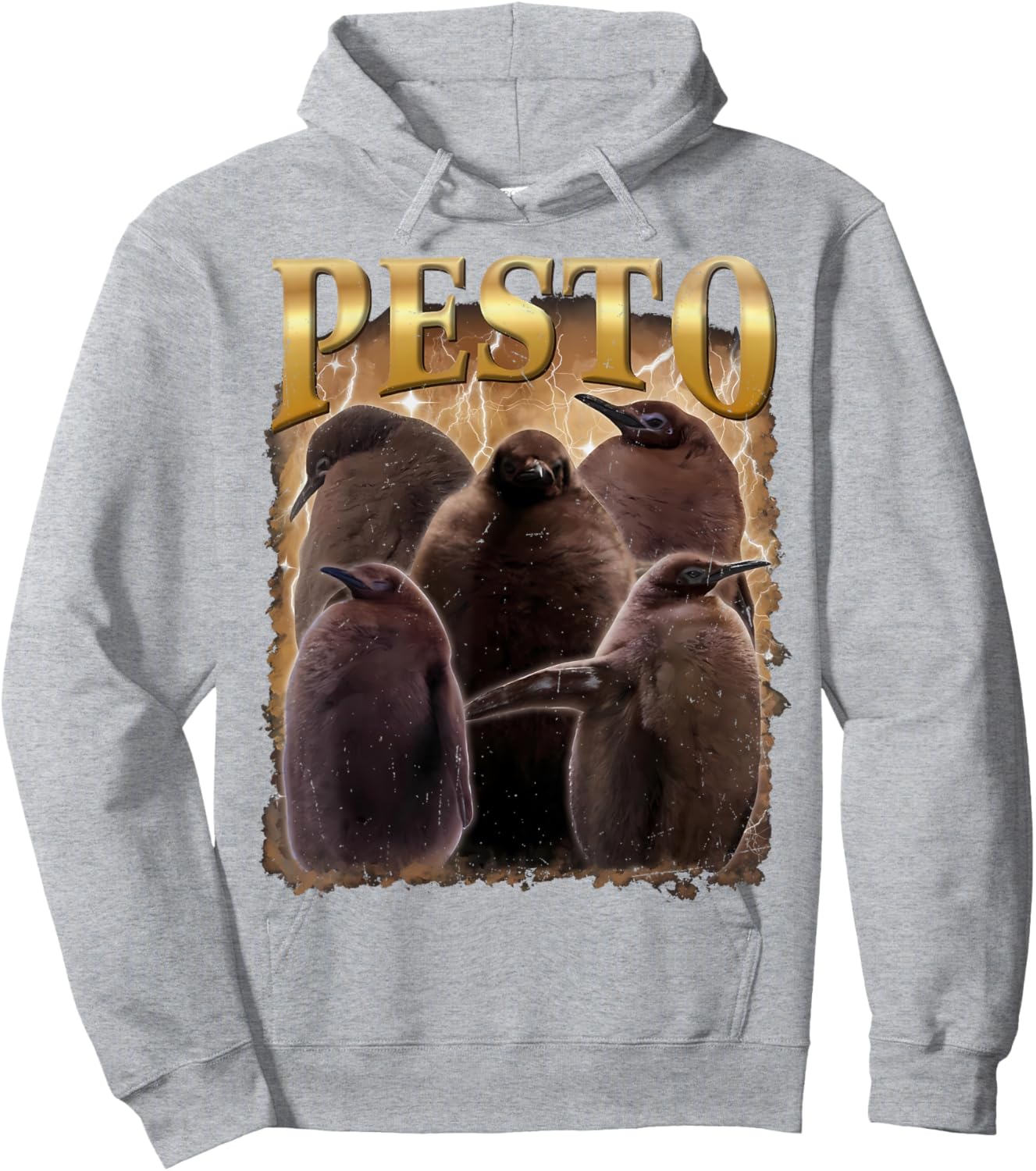 Pesto The Penguin Funny Baby Penguin Animal Lovers Hoodie - Hoodie | Ash