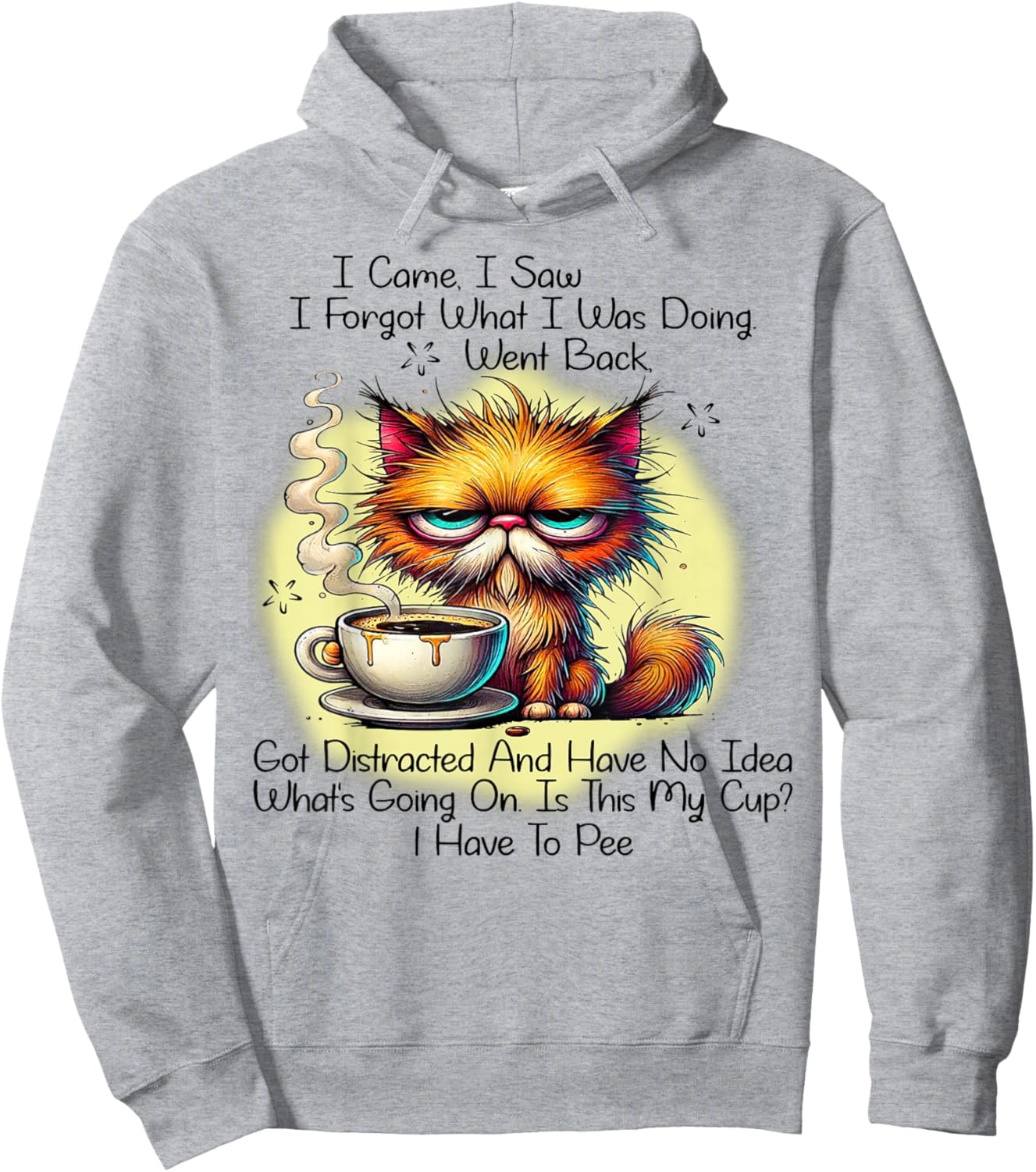 Cat I Came I Saw I Forgot What I Was Doing Went Back Hoodie - Hoodie | Ash