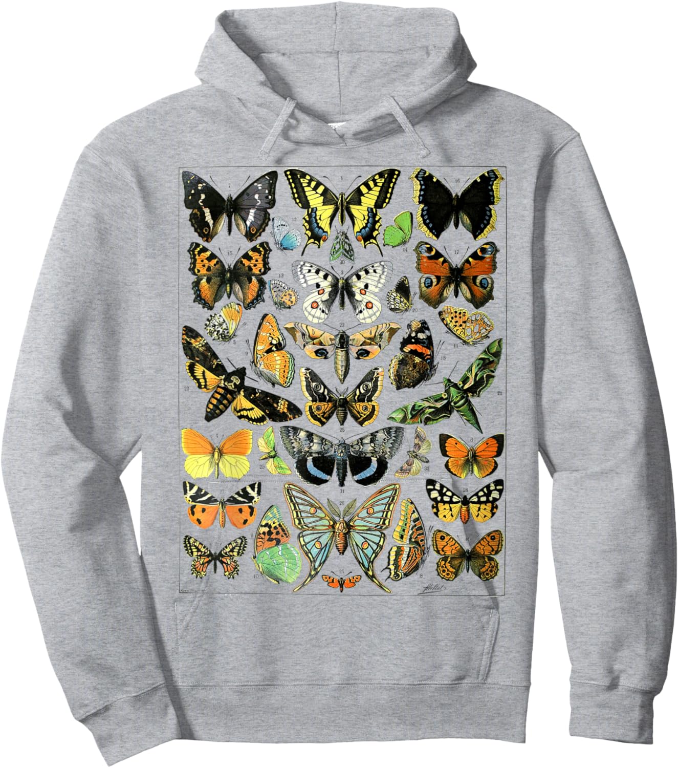 Butterflies Butterfly Collection Vintage Entomology Hoodie - Hoodie | Ash