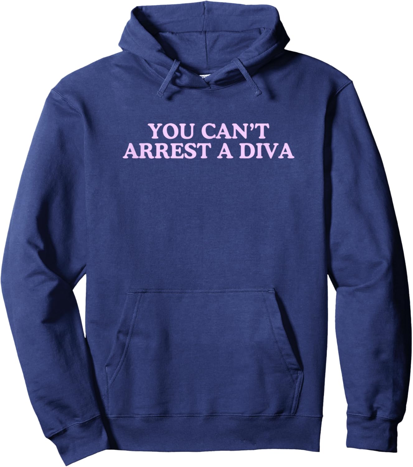You Can't Arrest A Diva Funny Iconic College Gen Z Meme Y2K Hoodie - Hoodie | Navy