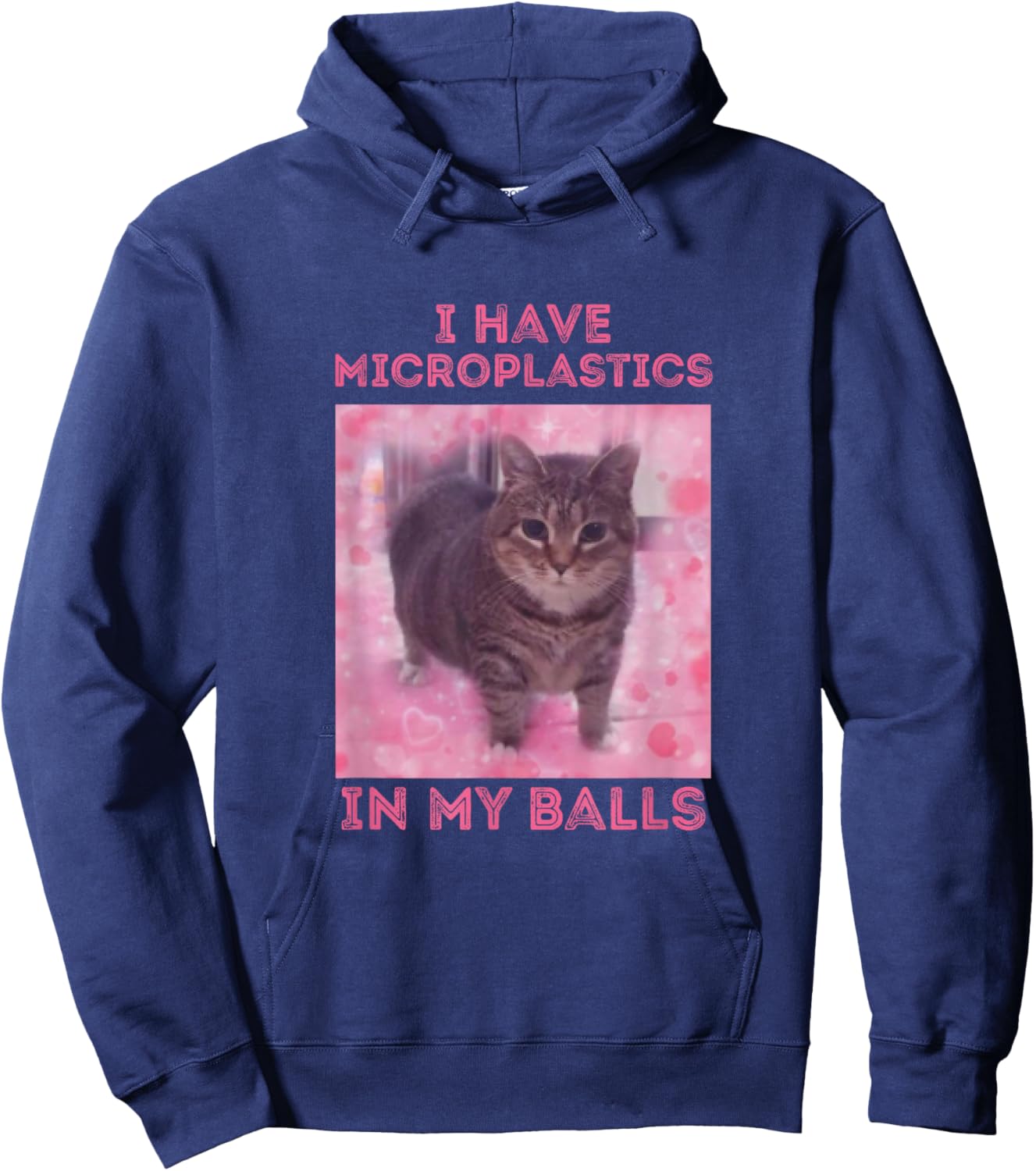 I Have Microplastics in my Balls Funny Cat Meme Men Women Hoodie - Hoodie | Navy