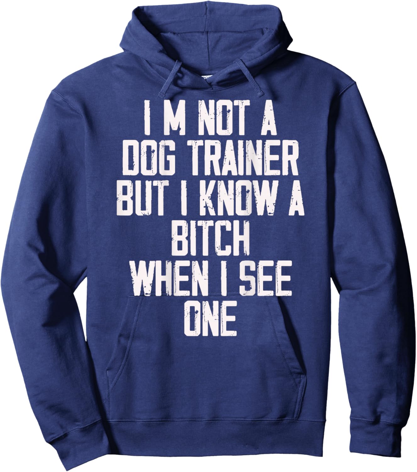I'm Not A Dog Trainer But I Know A Bitch When I See One Hoodie - Hoodie | Navy