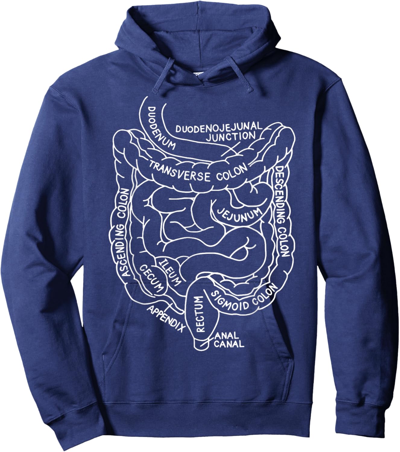 Digestive System Anatomy Gastroenterology Biology Teacher Hoodie - Hoodie | Navy