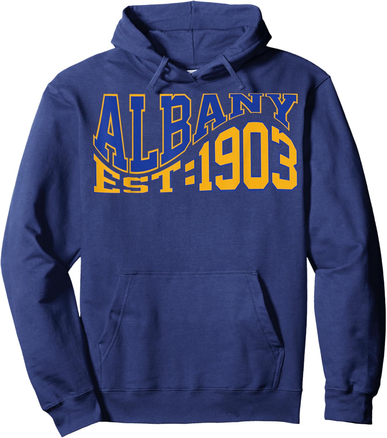 Retro Albany Wave Text City Vintage State Hoodie - Hoodie | Navy