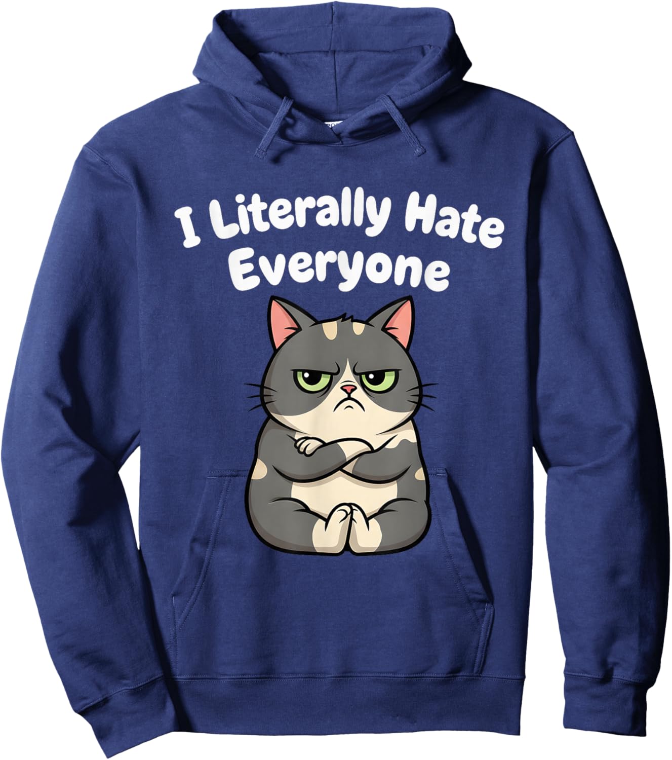 I Literally Hate Everyone Funny Introvert Cat Women Hoodie - Hoodie | Navy