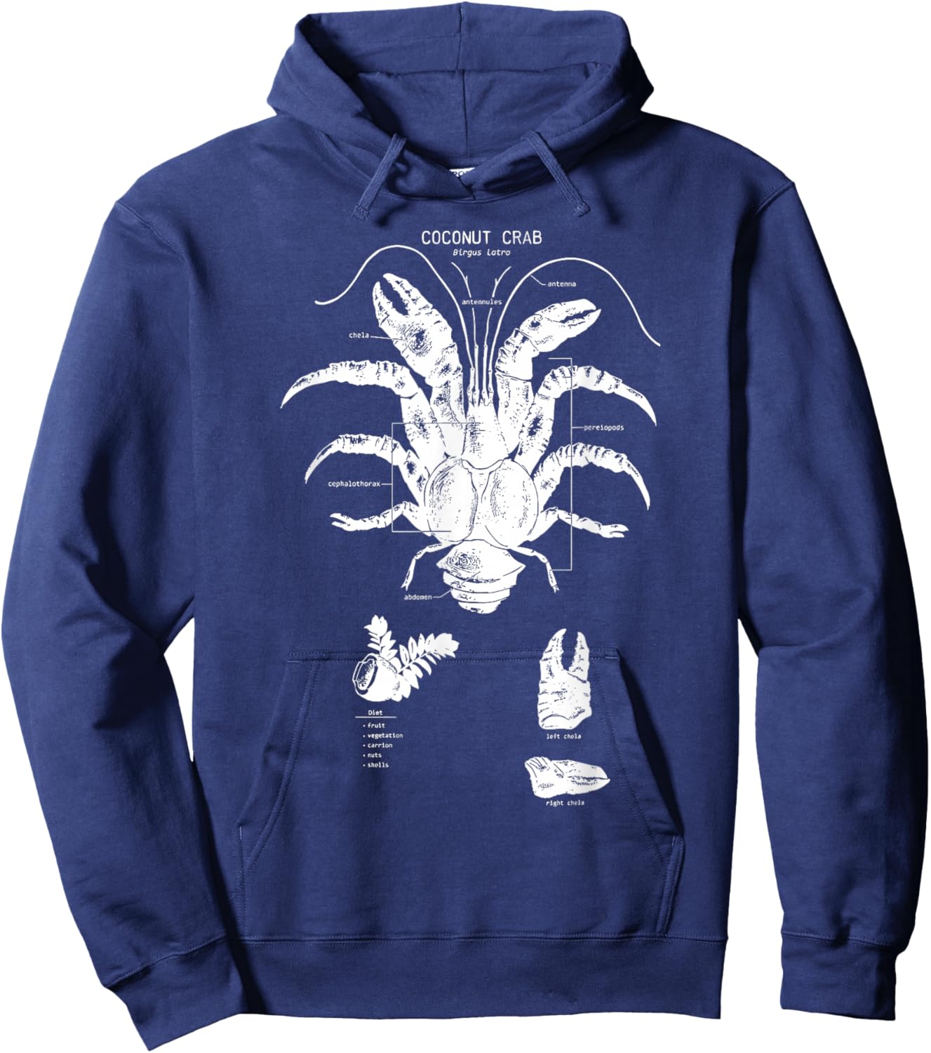 Coconut Crab Anatomy Marine Biology Cute Sea Animal Ocean Hoodie - Hoodie | Navy