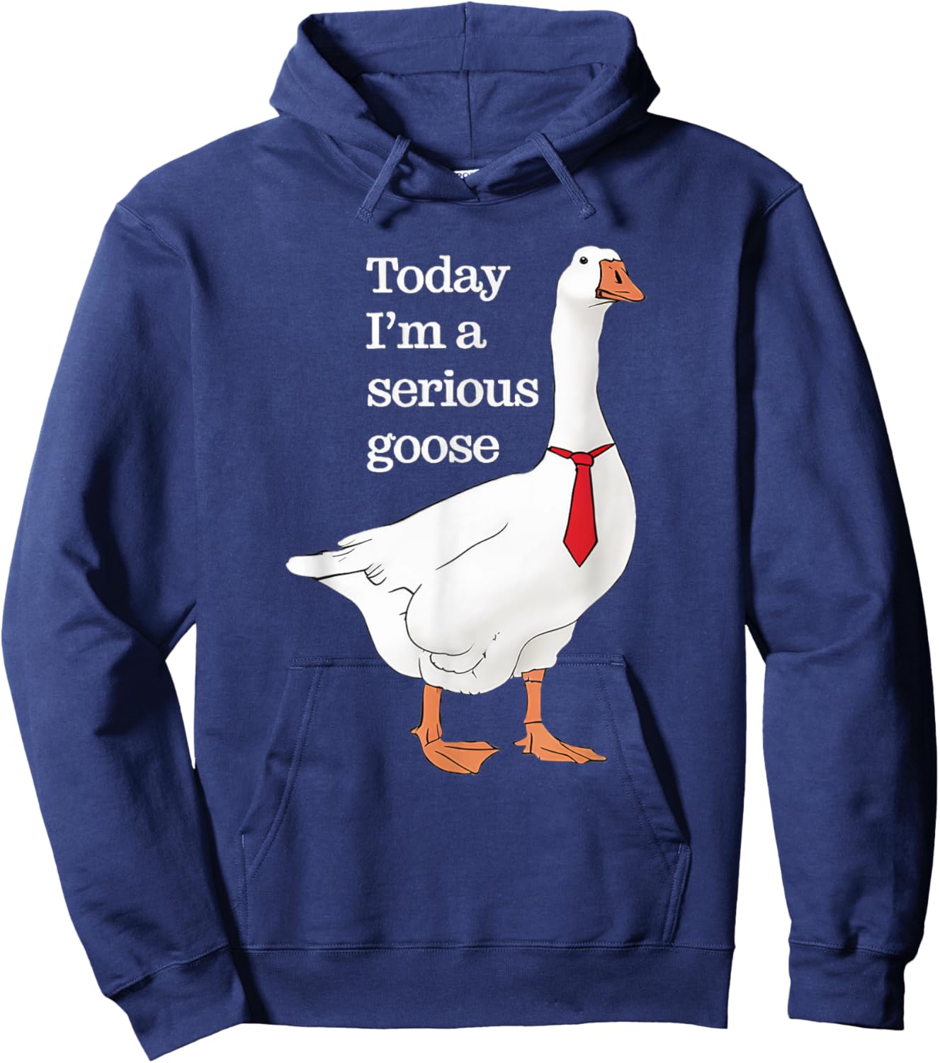 Today I Am A Serious Goose Funny Oddly Specific Dank Meme Hoodie - Hoodie | Navy