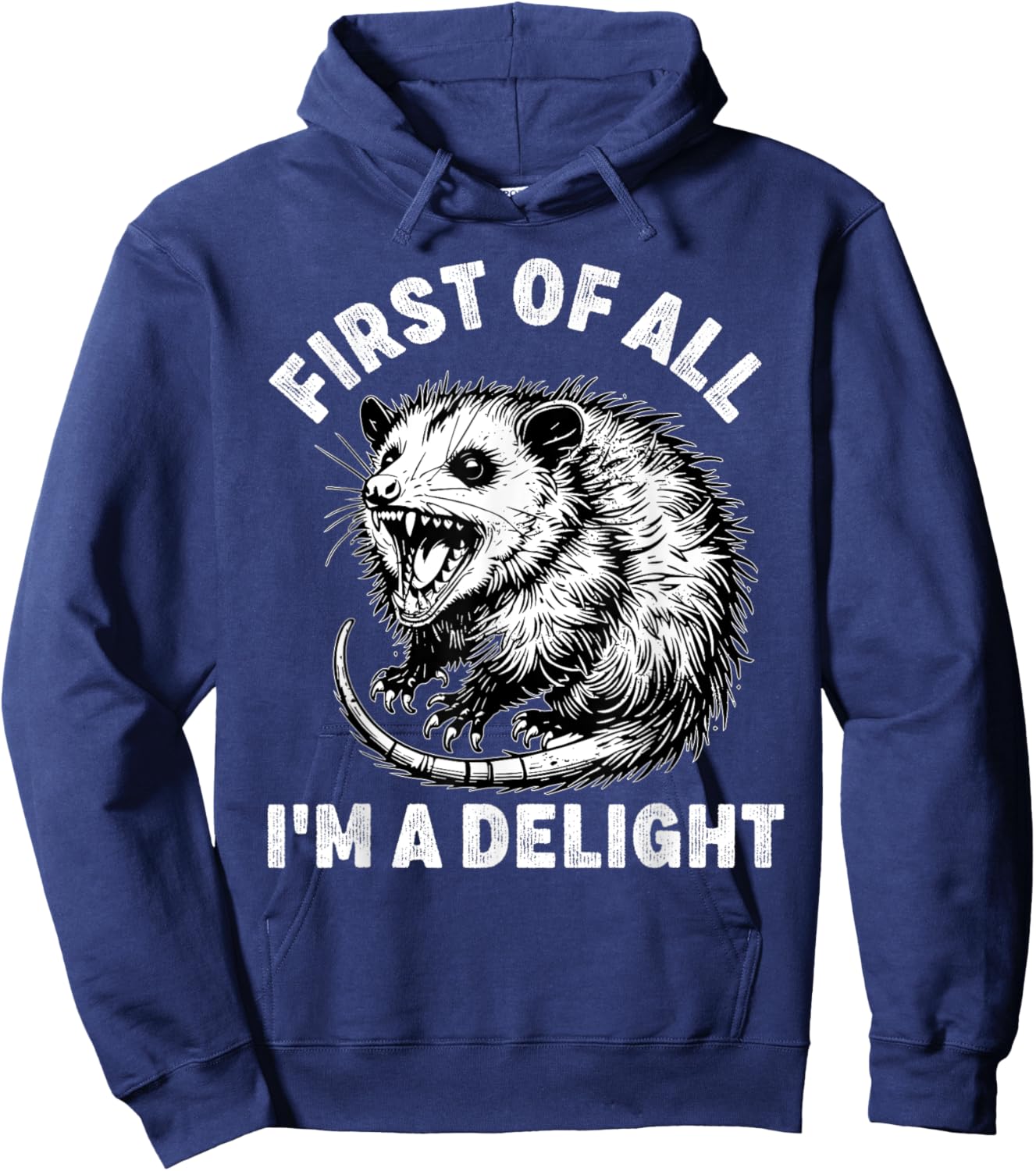 First of All I'm a Delight Men Women Funny Possum Possum Hoodie - Hoodie | Navy