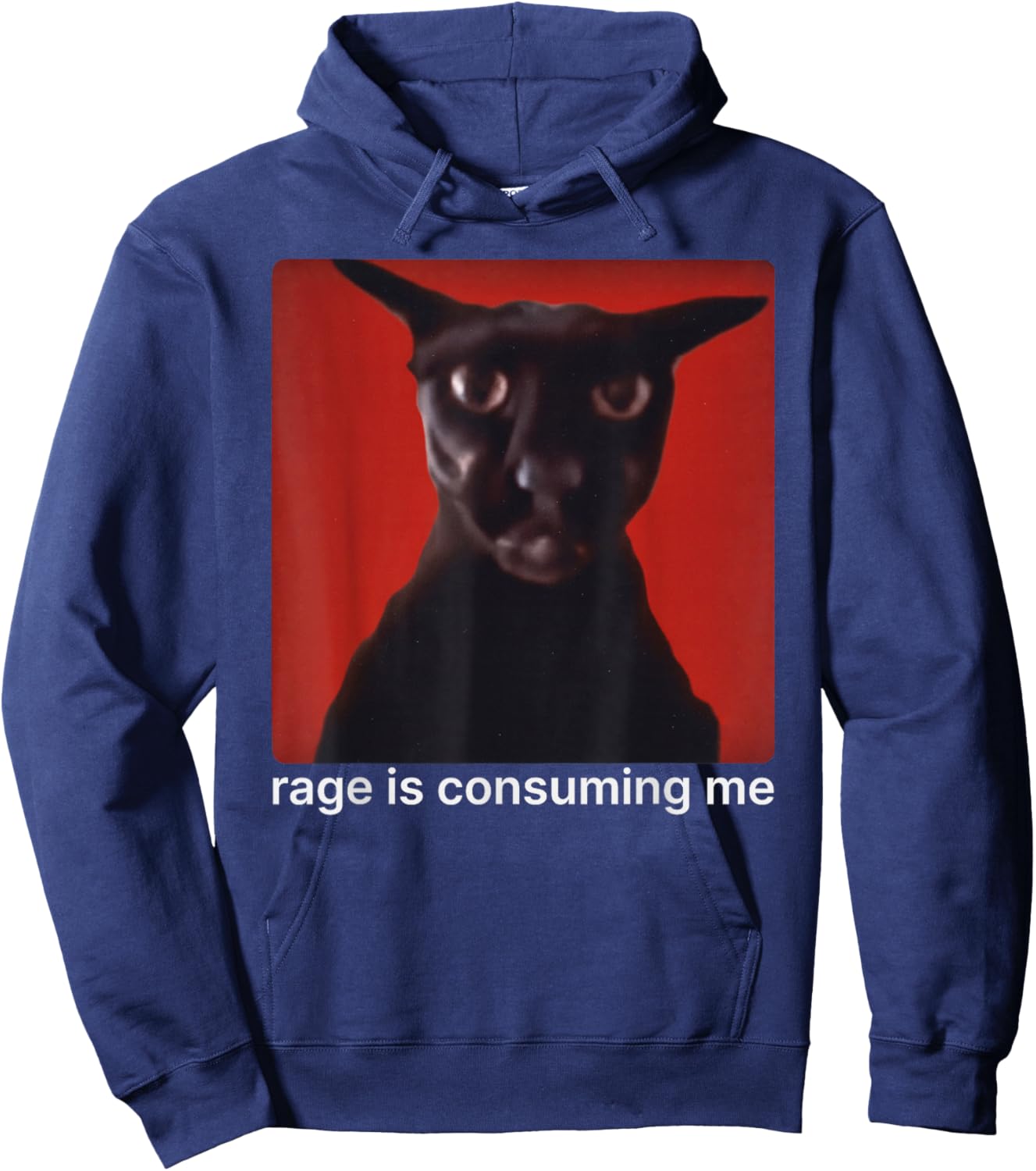 Rage is Consuming Me Funny Evil Larry Cat Meme Humor Hoodie - Hoodie | Navy