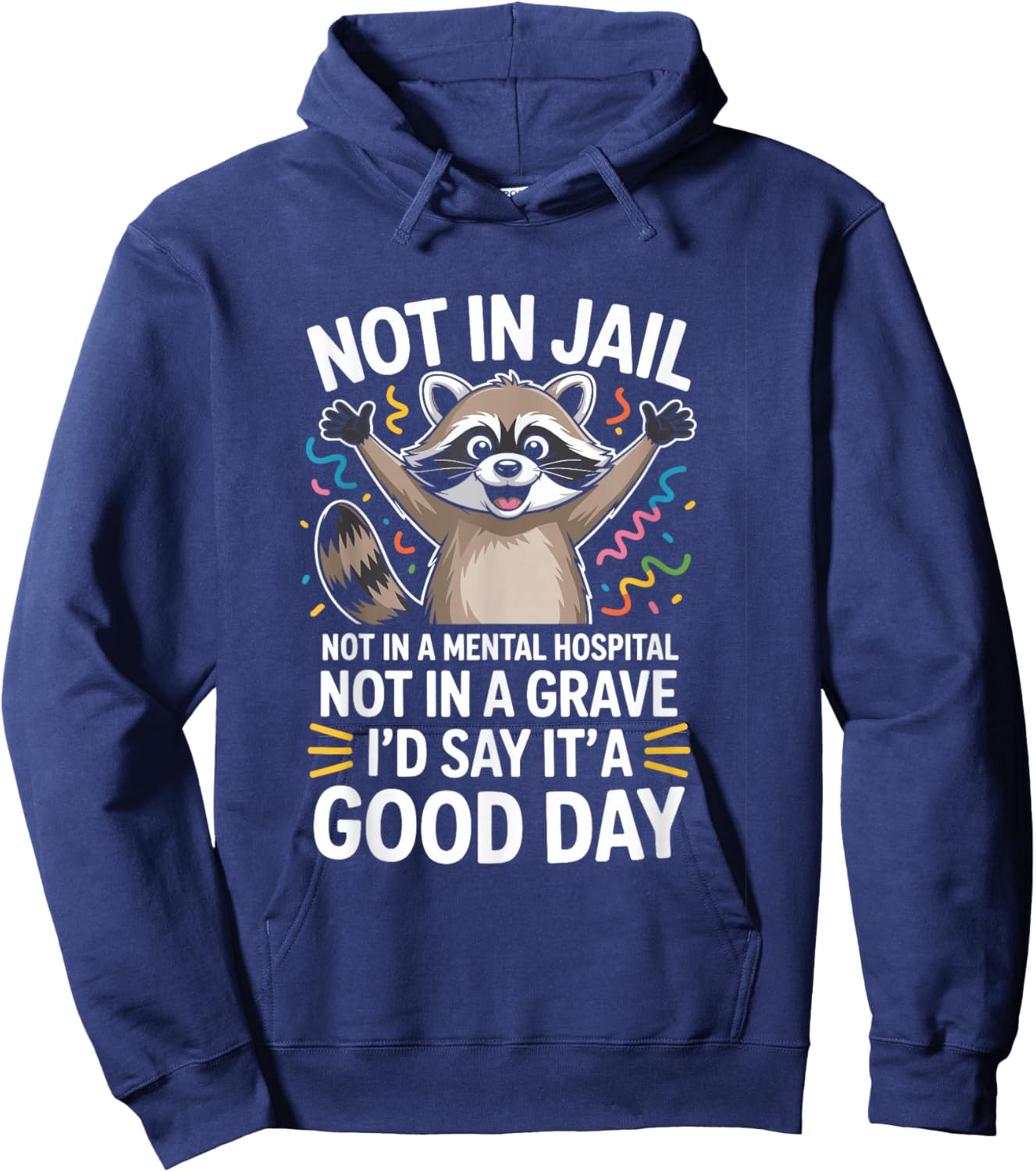 Not in Jail Not in A Mental Hospital Not in A Grave Funny Hoodie - Hoodie | Navy