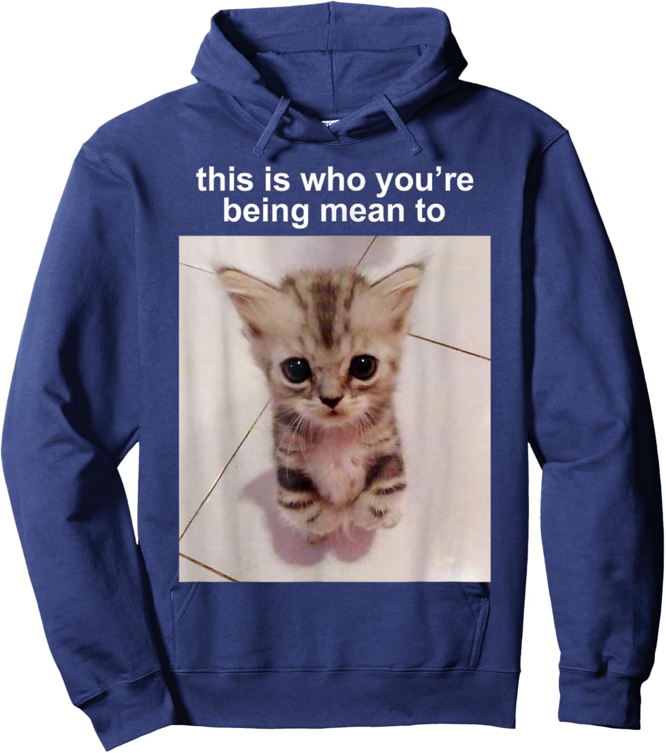 This Is Who You're Being Mean To Silly Cat FUNNY CUTE Cat Hoodie - Hoodie | Navy