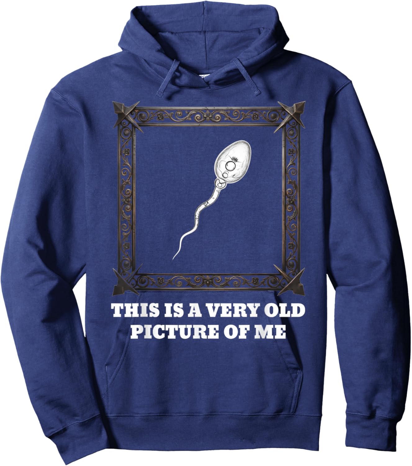 This is a Very Old Picture of Me Hoodie - Hoodie | Navy