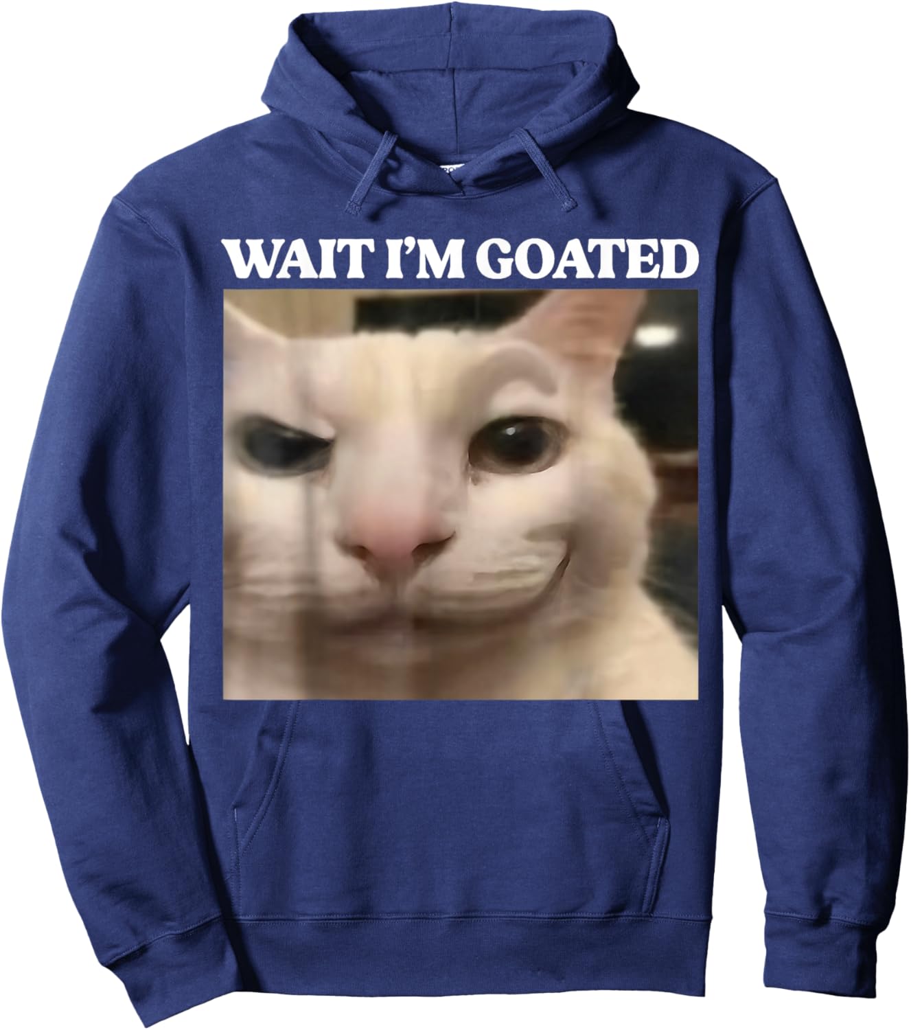 Wait I'm Goated Cat Funny Silly Cat Staring Cat Funny Meme Hoodie - Hoodie | Navy