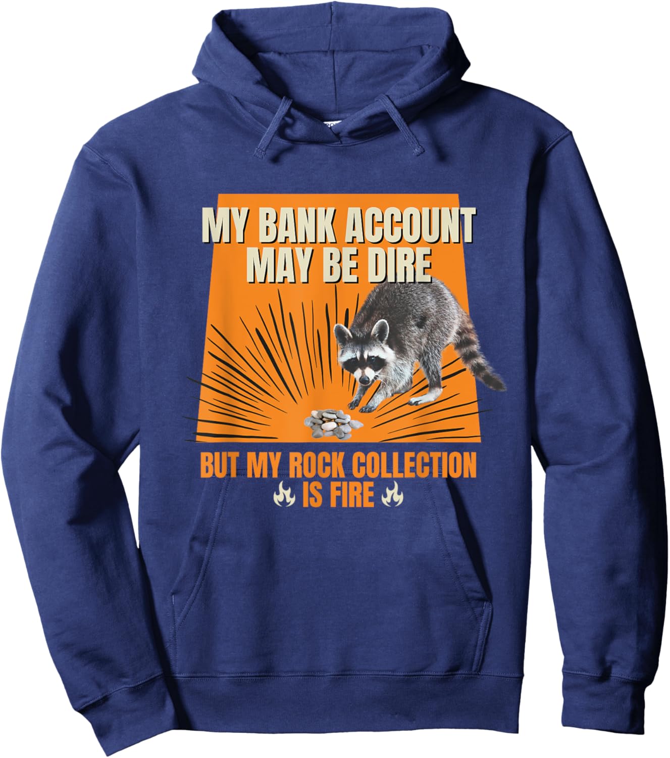 My Bank Account Be Dire My Rock Collection Is Fire Raccoon Hoodie - Hoodie | Navy