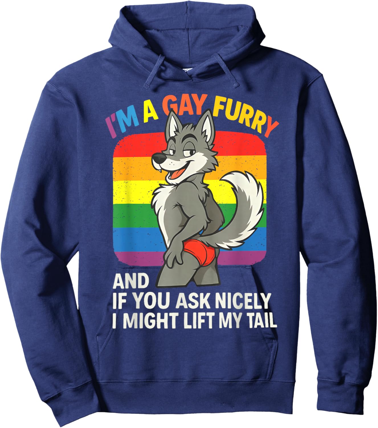 I'm A Gay Furry LGBT Gay Trans Pride Rainbow Queer Humor Hoodie - Hoodie | Navy