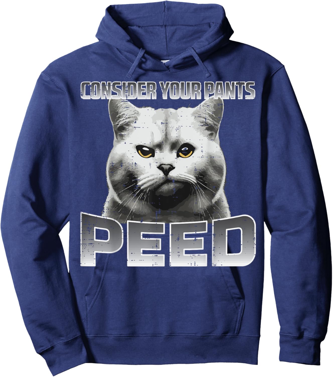 Funny Cat Consider Your Pants Peed Silly Meme Men Women Kids Hoodie - Hoodie | Navy