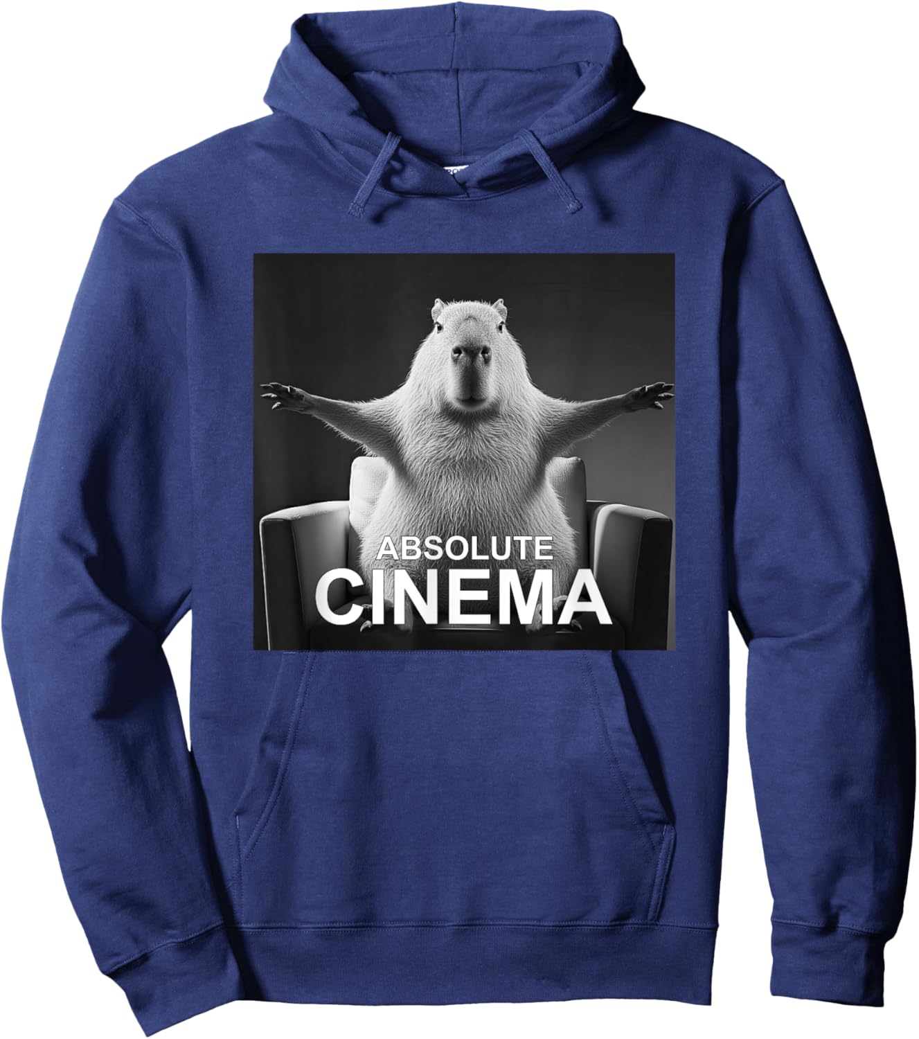Capybara Absolute Cinema Meme Humour Hoodie - Hoodie | Navy