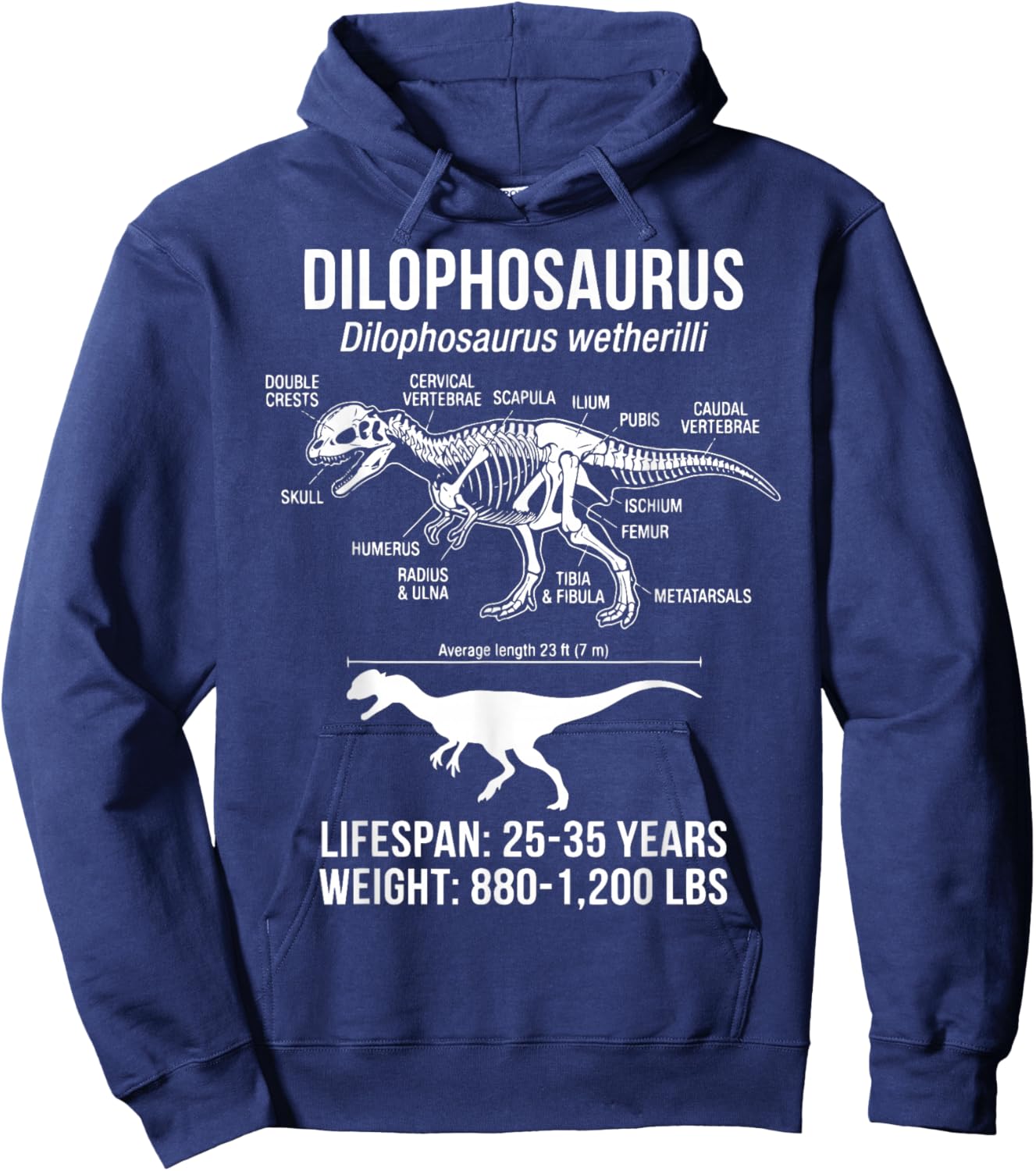 Dilophosaurus Diagram Fossil Hoodie - Hoodie | Navy