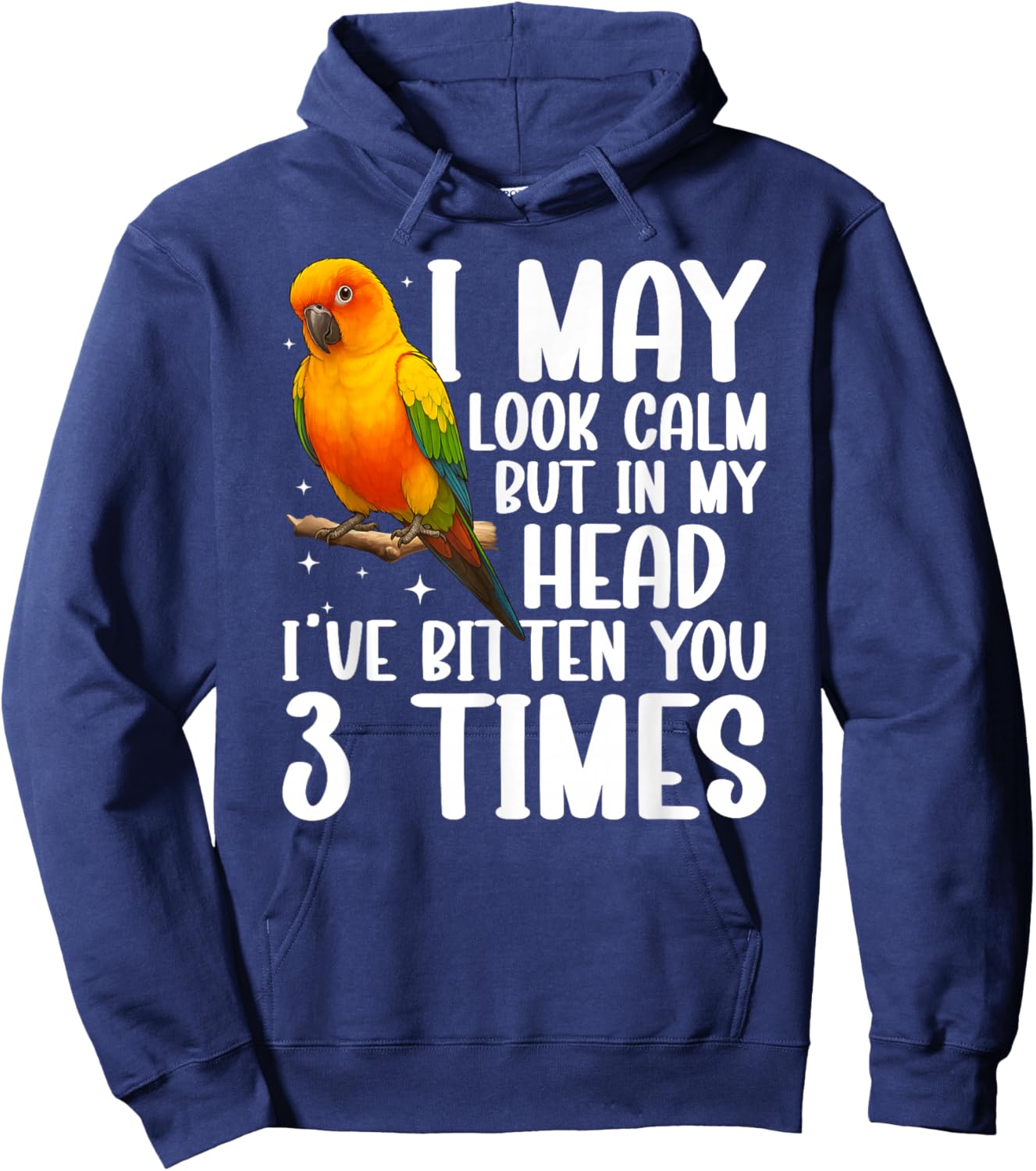 Sun Conure Parrot Owner Funny Sun Conure Lover Hoodie - Hoodie | Navy