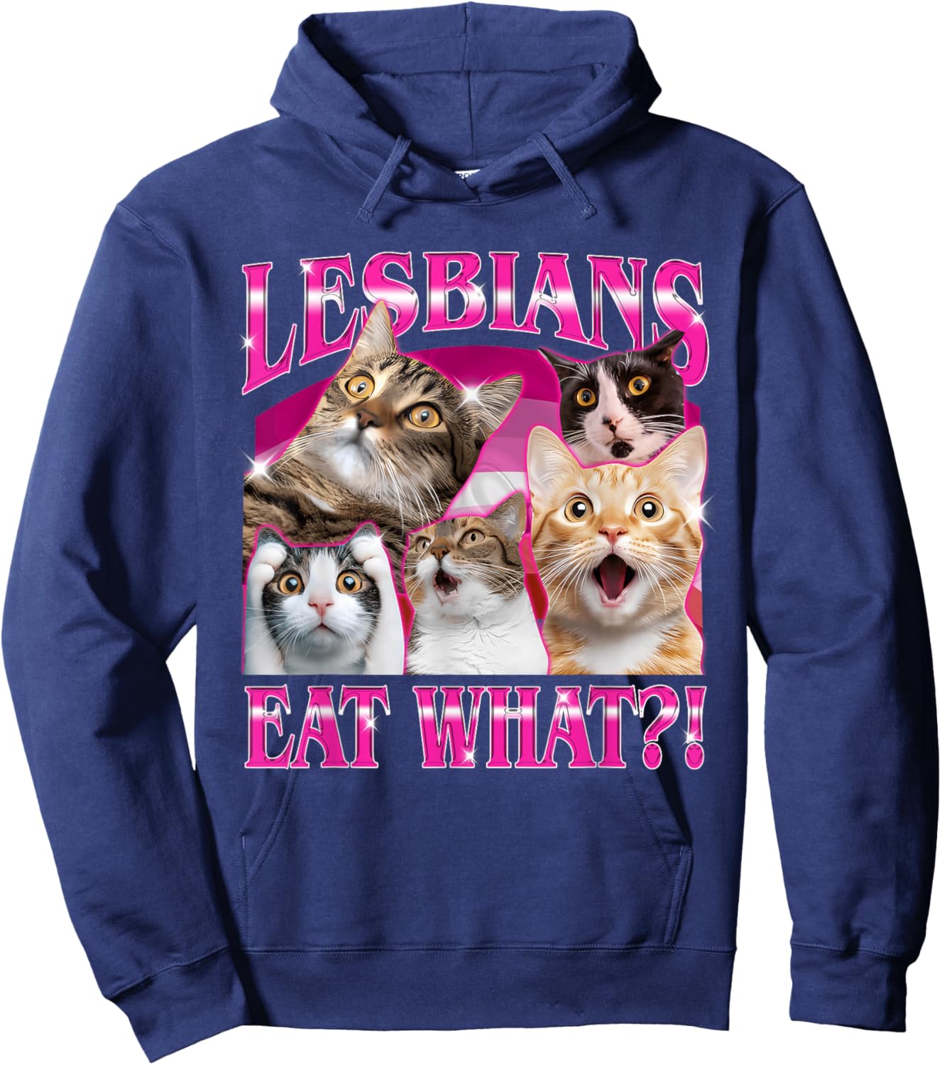 Lesbian Funny Cat Eat Pride Rainbow Flag LGBTQ Meme Hoodie - Hoodie | Navy