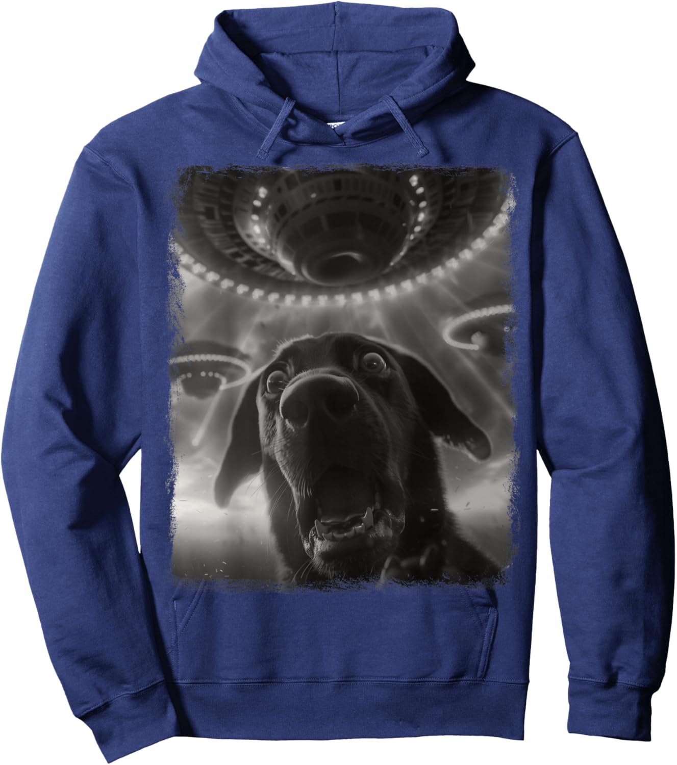 Labrador Dog UFO Alien Extraterrestrial Selfie Hoodie - Hoodie | Navy