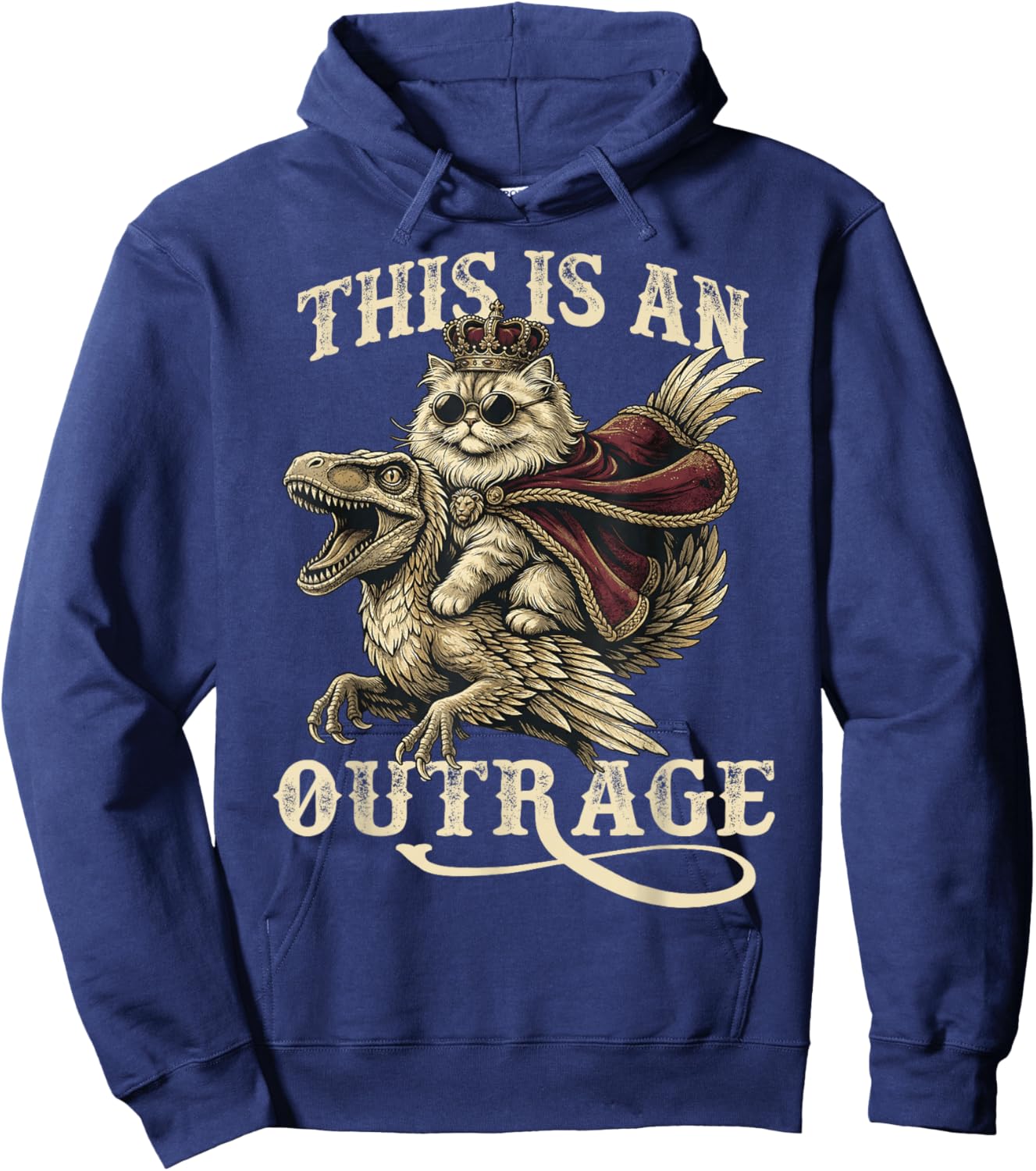 Goddammit Donut This is an Outrage Princess Cat Meme Hoodie - Hoodie | Navy