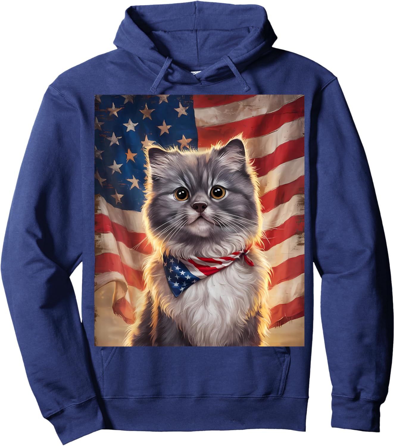 Cute Fluffy Gray Cat American Flag Independence Day Hoodie - Hoodie | Navy