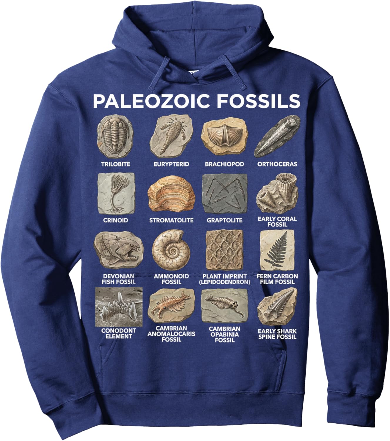Paleozoic Fossils Chart Paleontology Science Lovers Hoodie - Hoodie | Navy
