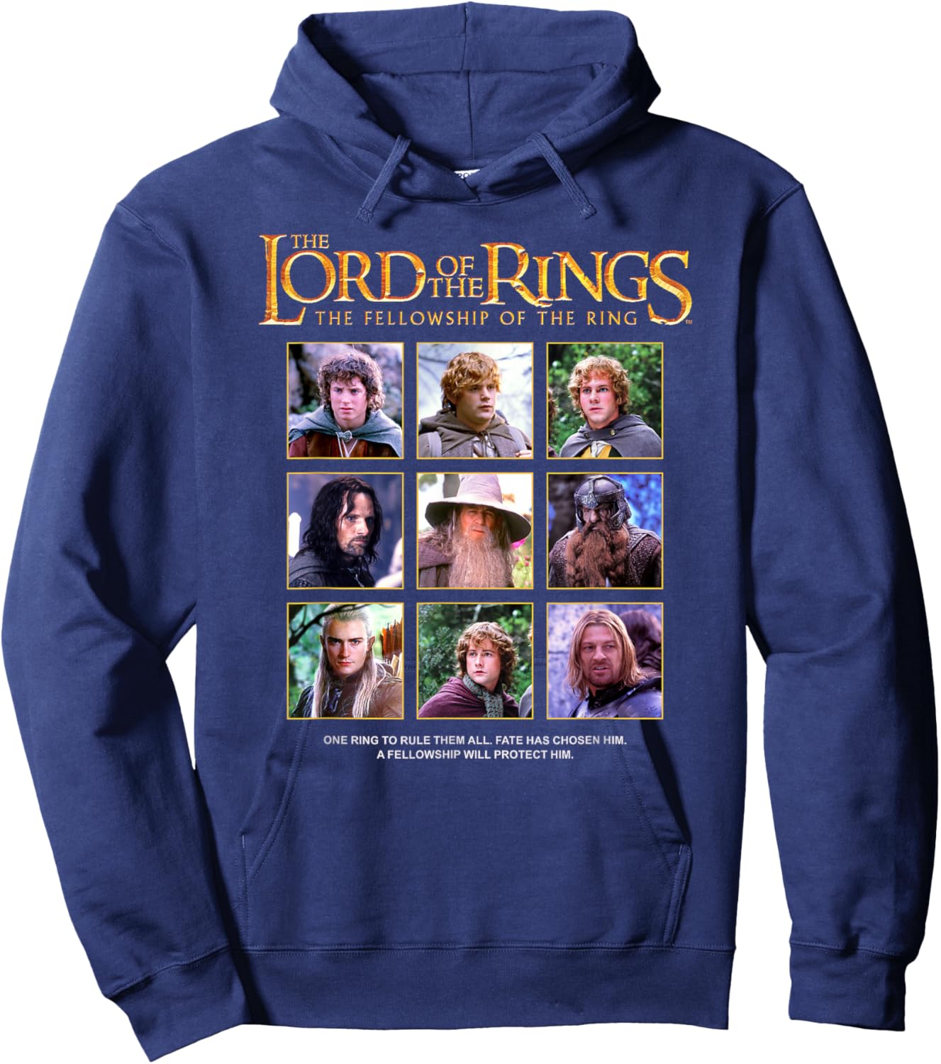 The Lord of the Rings The Fellowship Of The Ring Box Ups Hoodie - Hoodie | Navy