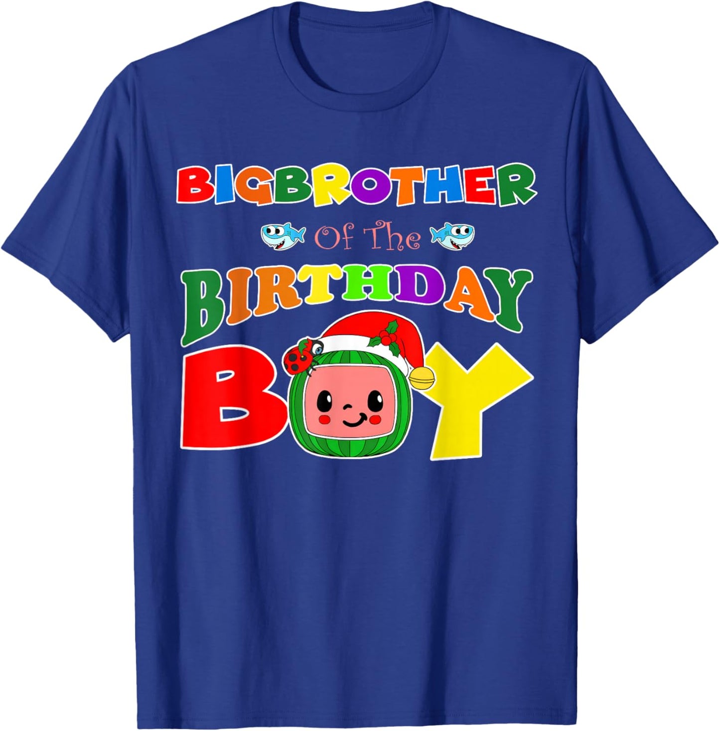 Big Brother Of The Birthday Boy Funny Melon Family Matching T-Shirt - T-Shirt | Royal