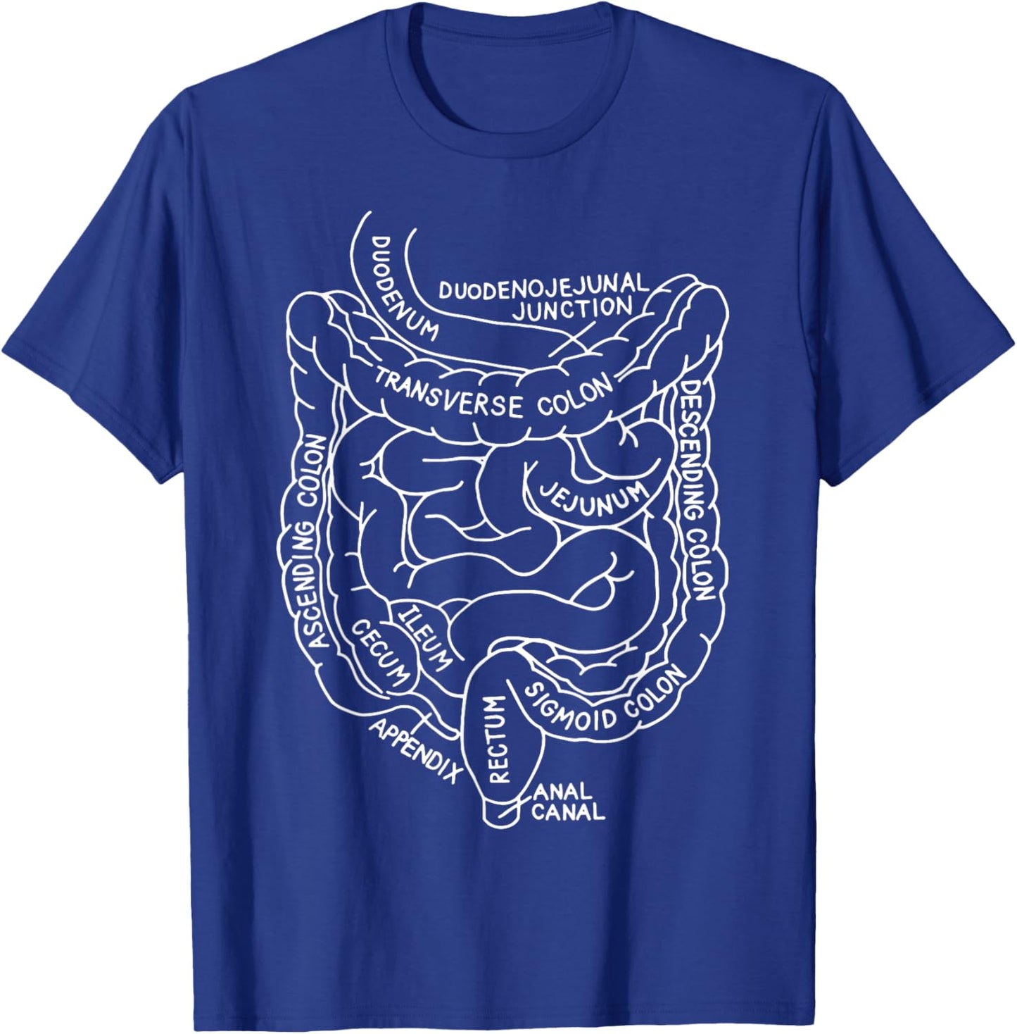 Digestive System Anatomy Gastroenterology Biology Teacher T-Shirt - T-Shirt | Royal