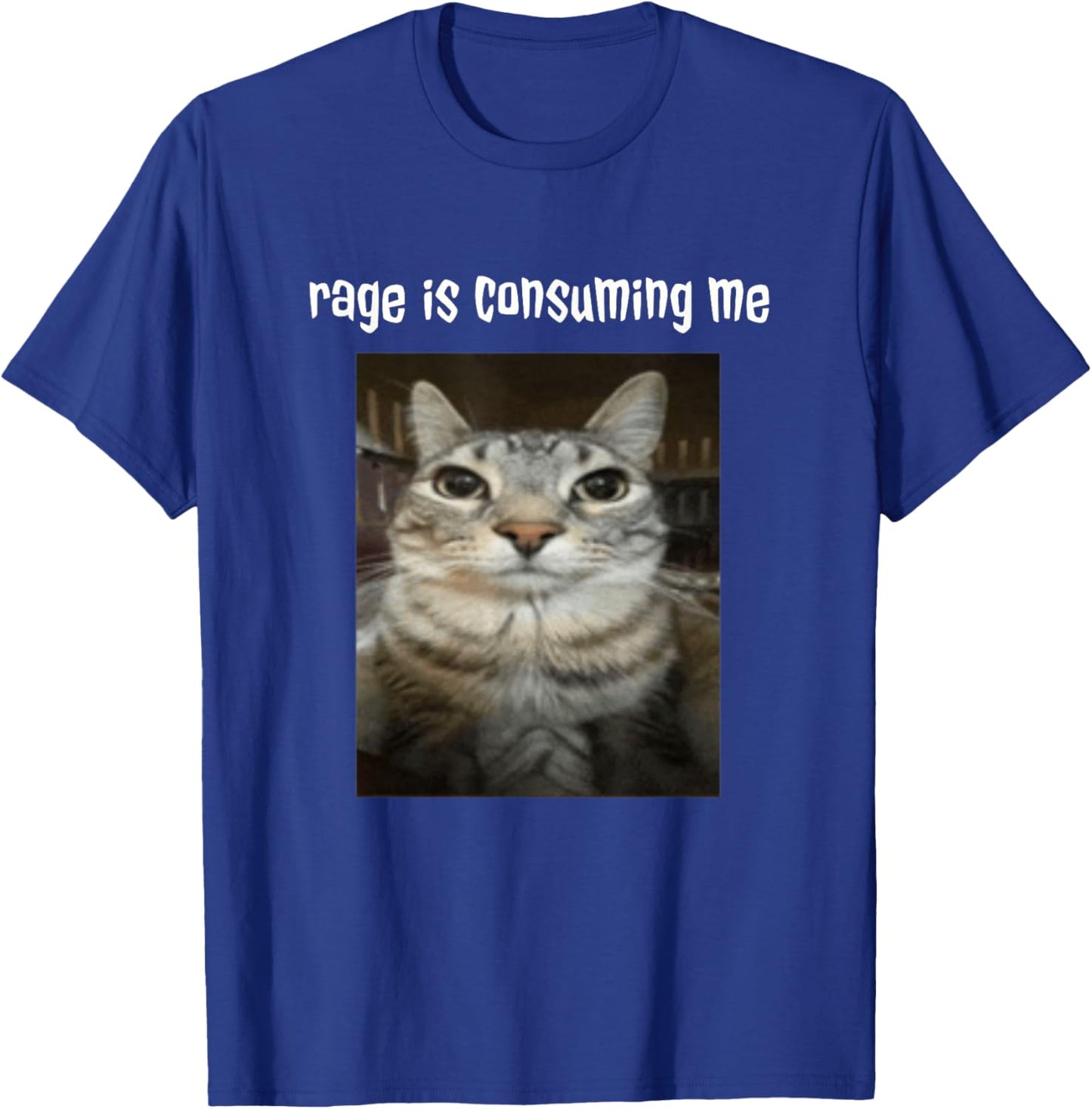 Silly Staring Cat Meme Rage Is Consuming Me T-Shirt - T-Shirt | Royal