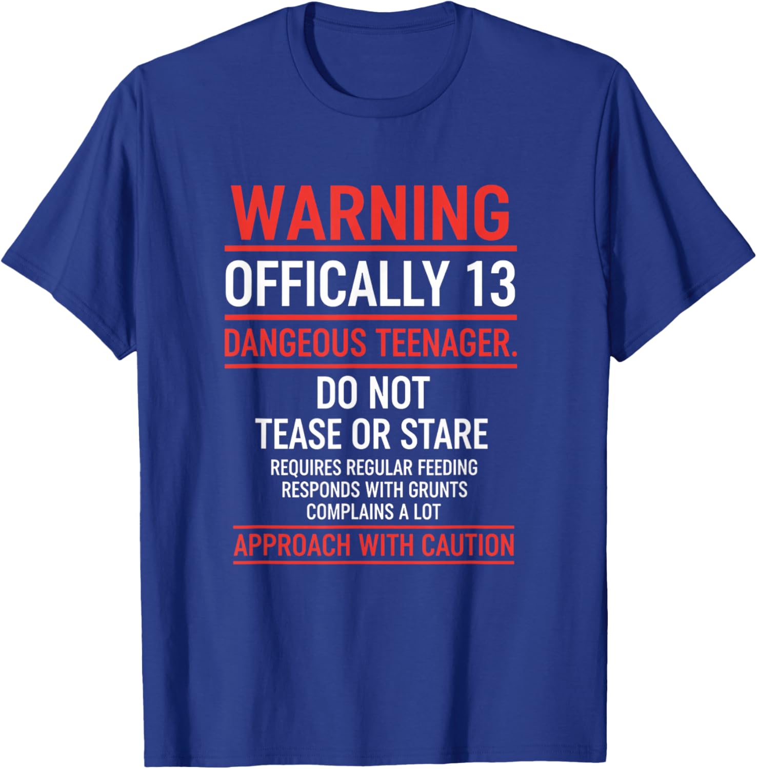 Birthday Officially 13 Warning, Dangerous Teenager Birthday T-Shirt - T-Shirt | Royal