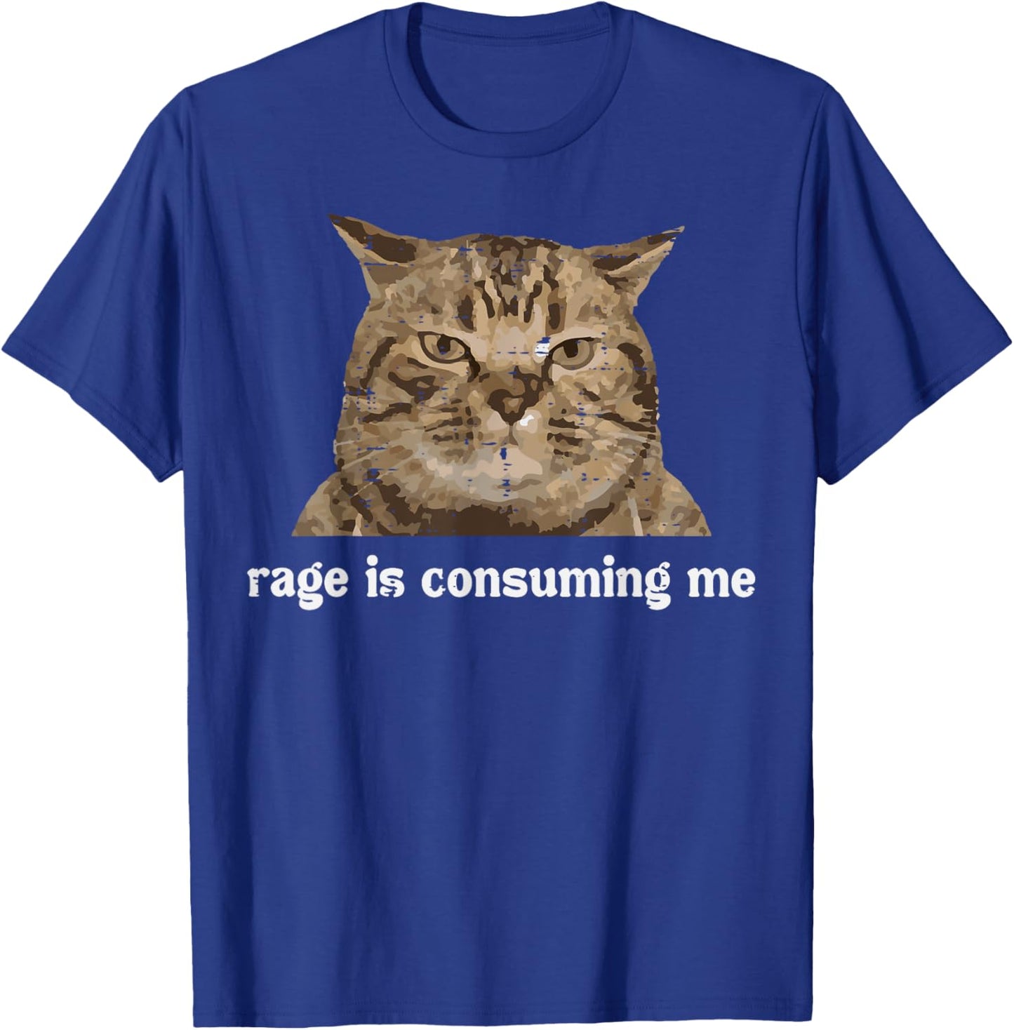Rage Is Consuming Me Funny Cat Silly Saying Meme Women Men T-Shirt - T-Shirt | Royal