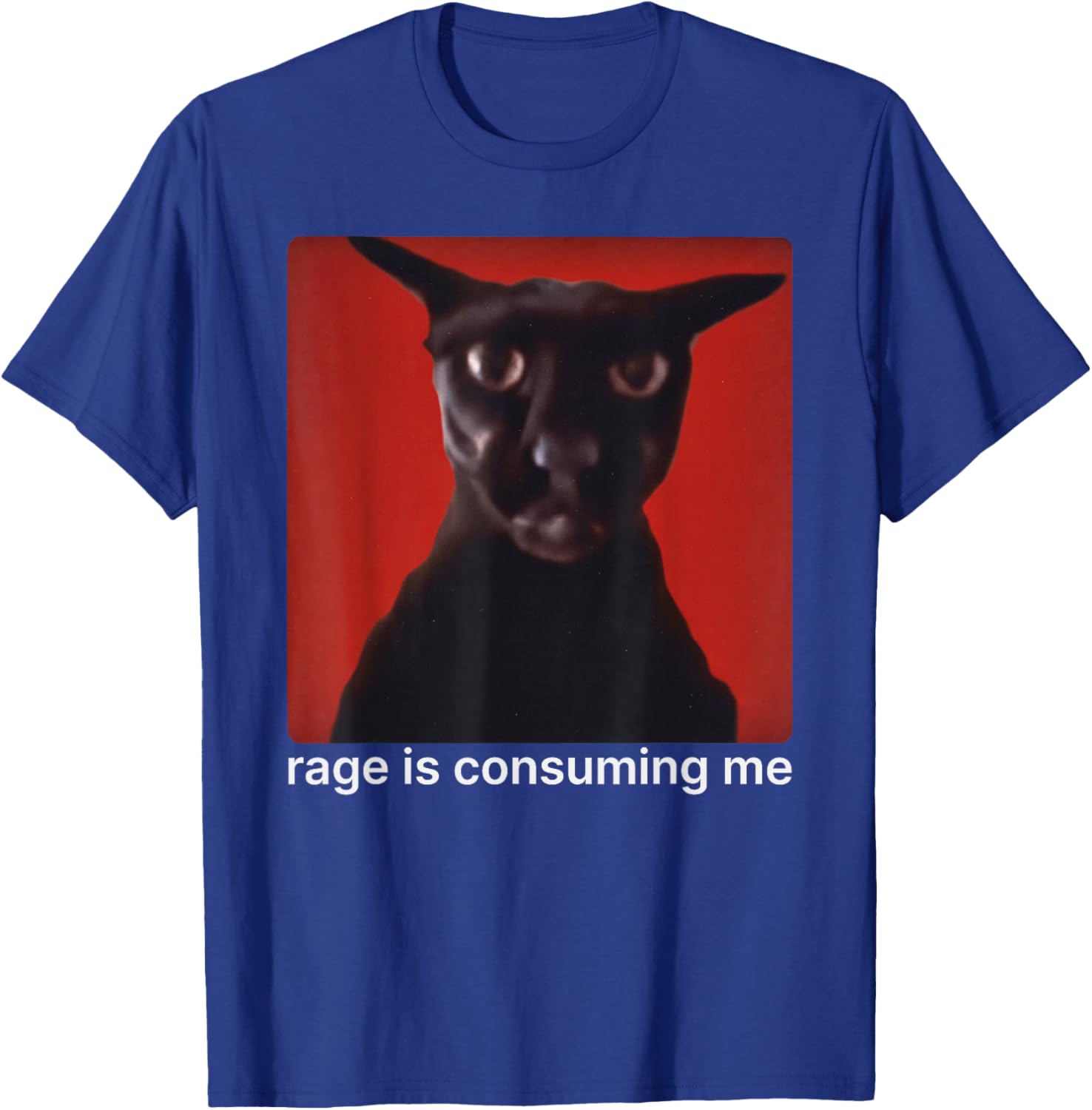Rage is Consuming Me Funny Evil Larry Cat Meme Humor T-Shirt - T-Shirt | Royal