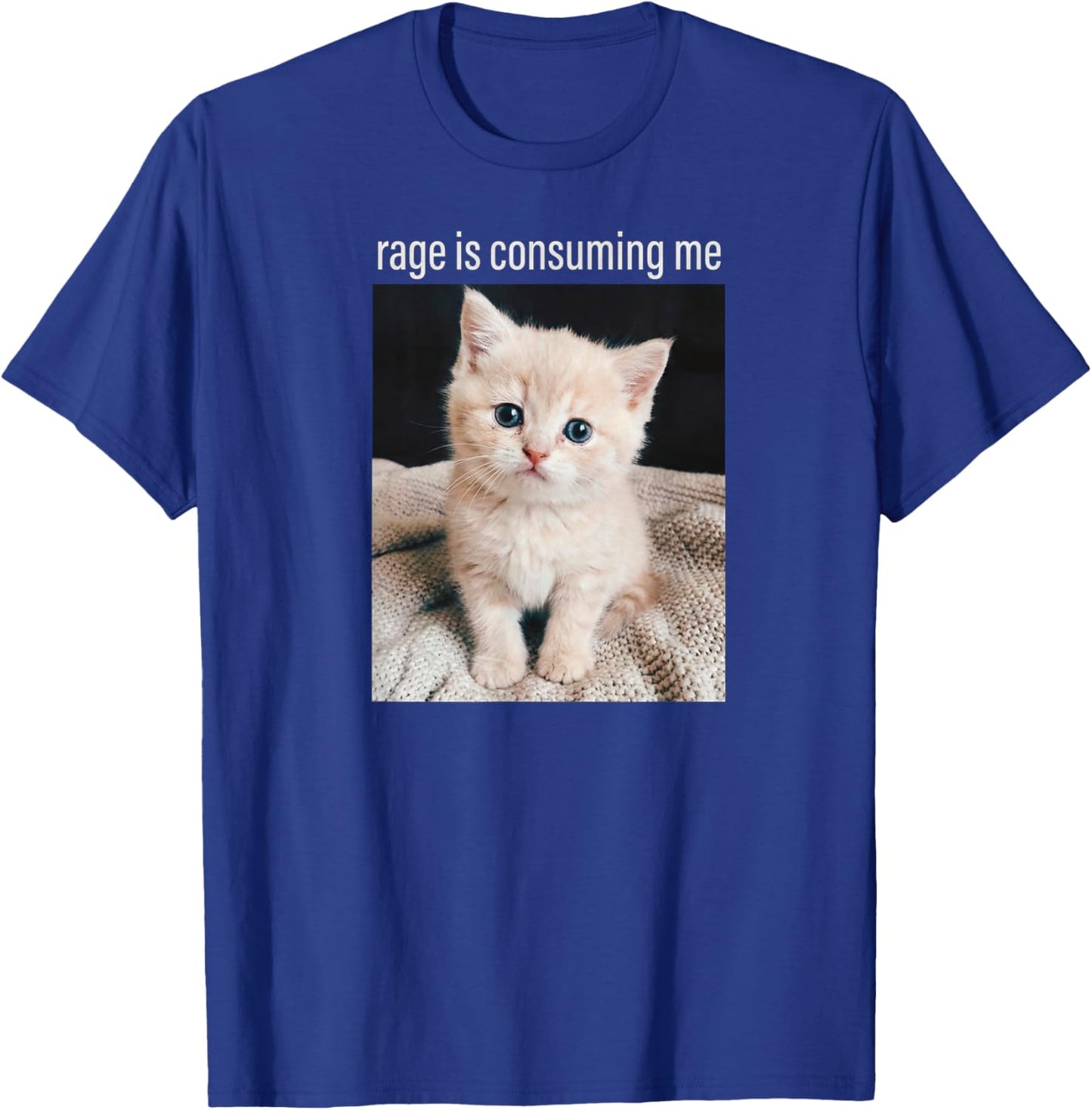 Cat Meme Rage is Consuming Me Minimalist Humor T-Shirt - T-Shirt | Royal