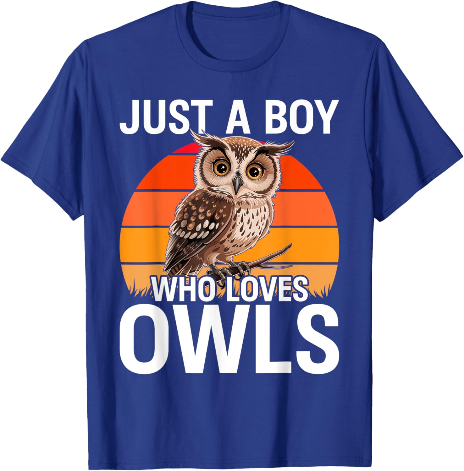 Just a Boy Who Loves Owls For Toddlers Boys Kids Birds Lover T-Shirt - T-Shirt | Royal