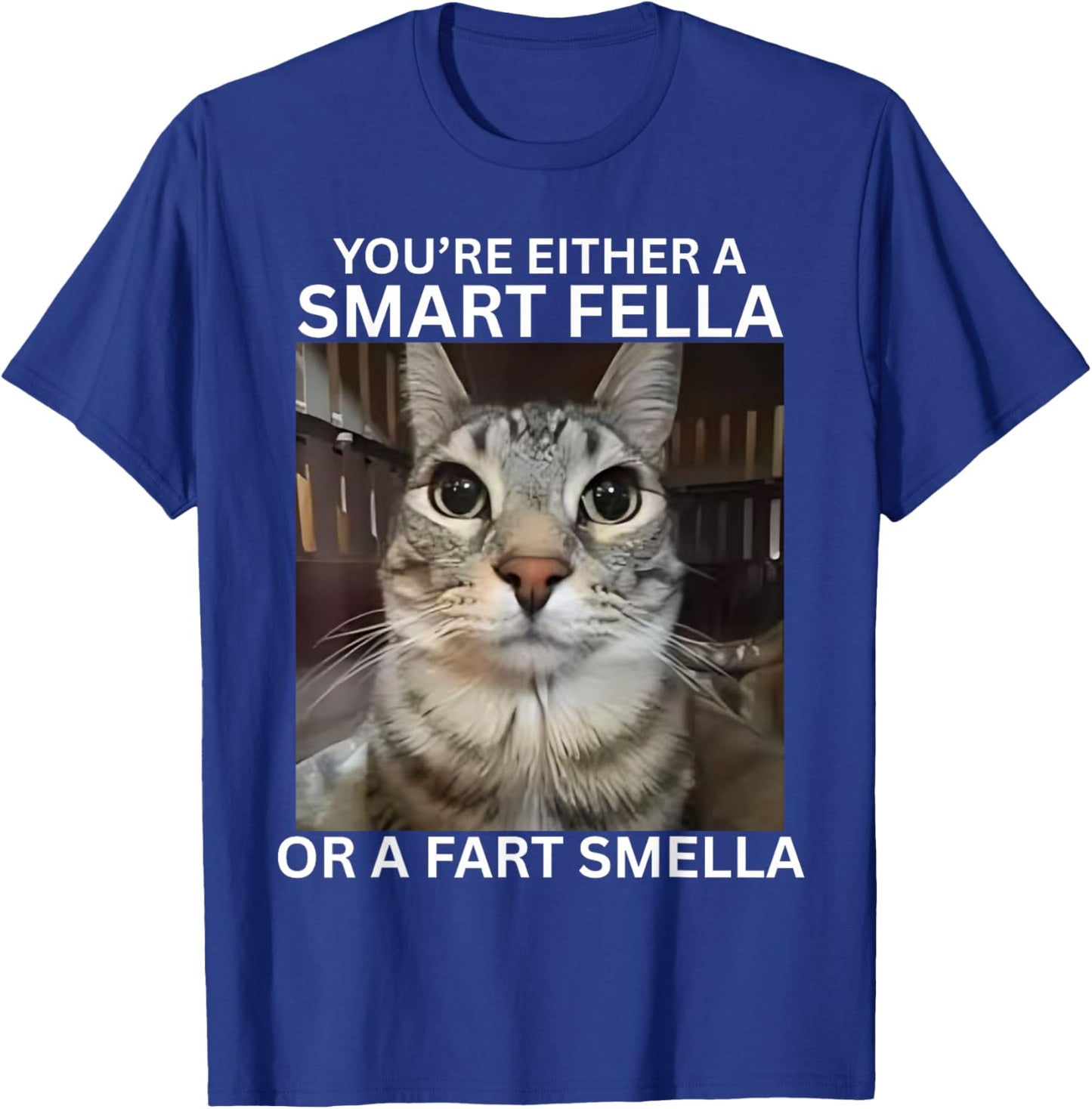You're Either A Smart Fella Or A Fart Smella Meme Cat Meme T-Shirt - T-Shirt | Royal