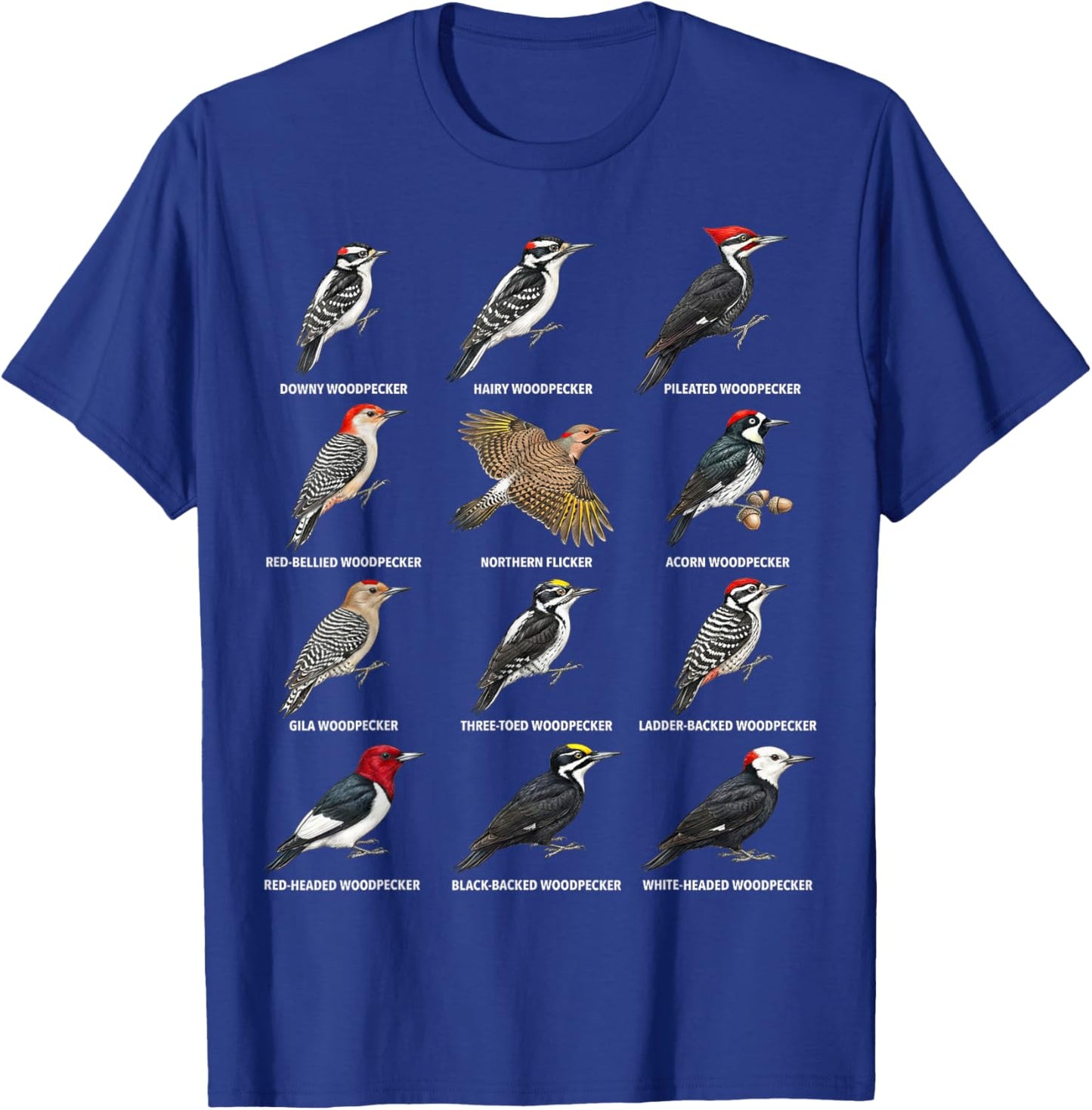 Woodpecker Species Chart – Types of Woodpeckers T-Shirt - T-Shirt | Royal